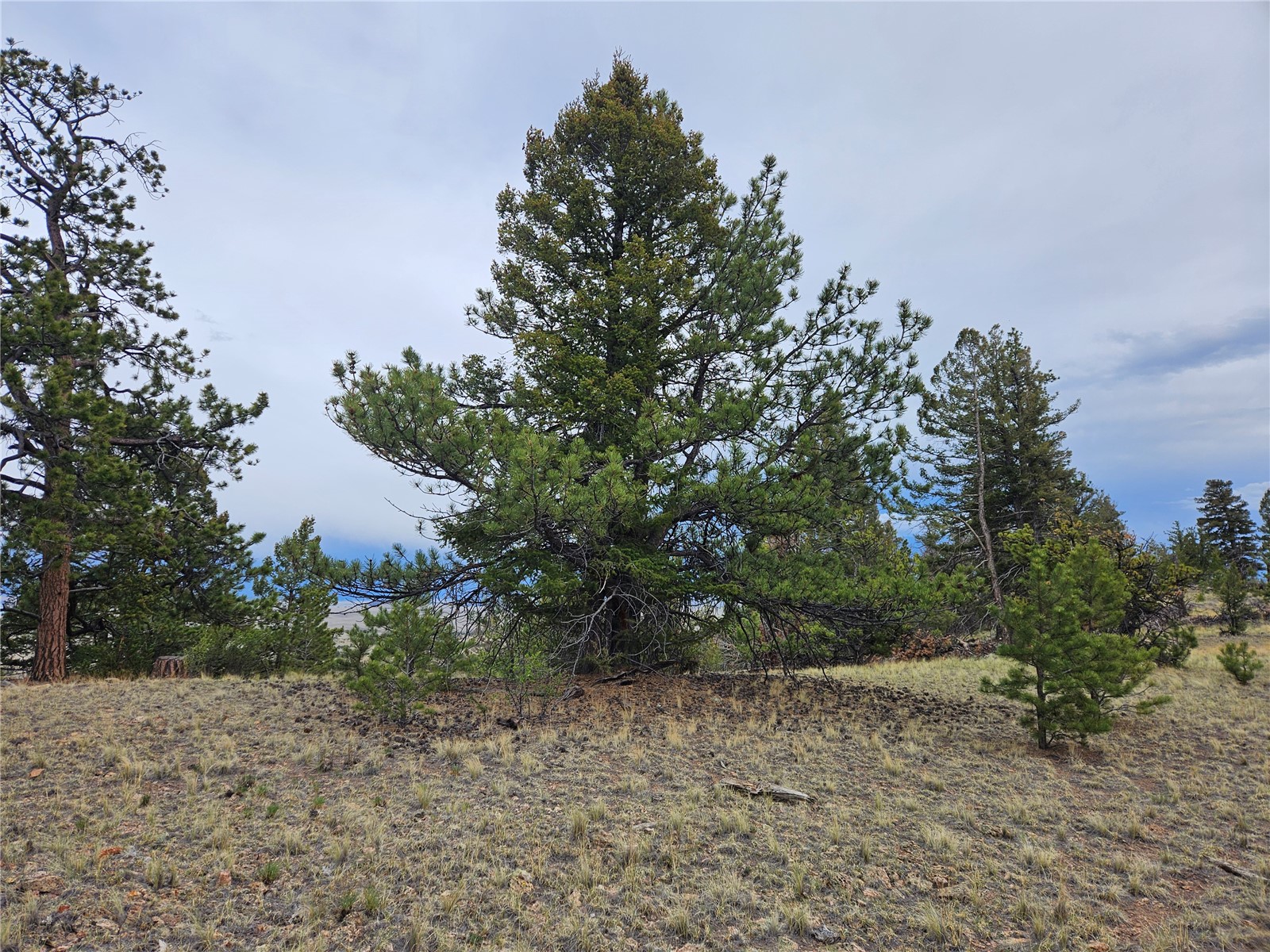 Pcs#24807 Satanta Trail Property Photo 31