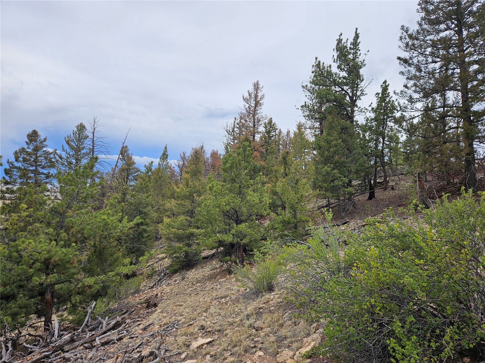 Pcs#24807 Satanta Trail Property Photo 33
