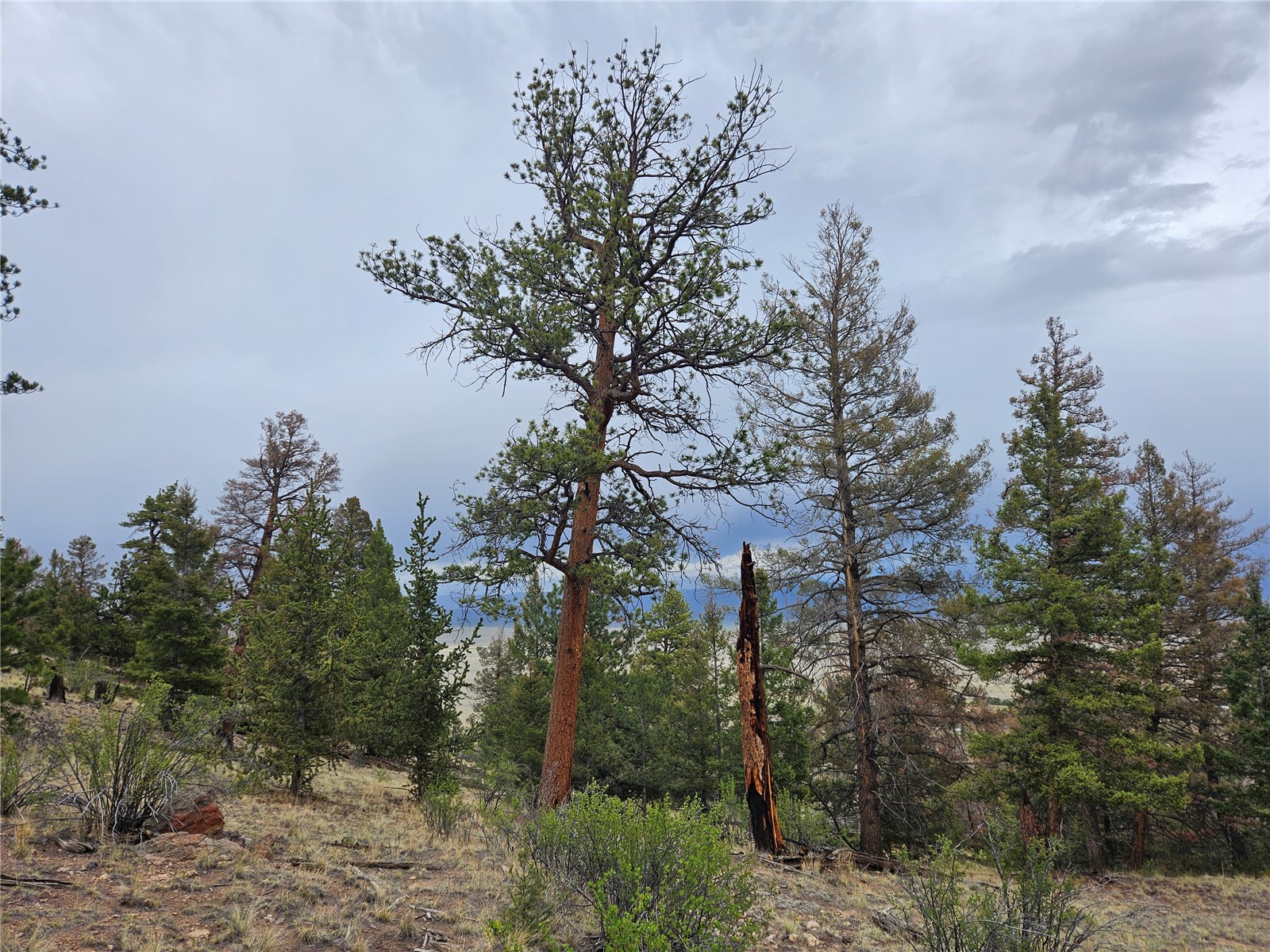 Pcs#24807 Satanta Trail Property Photo 34