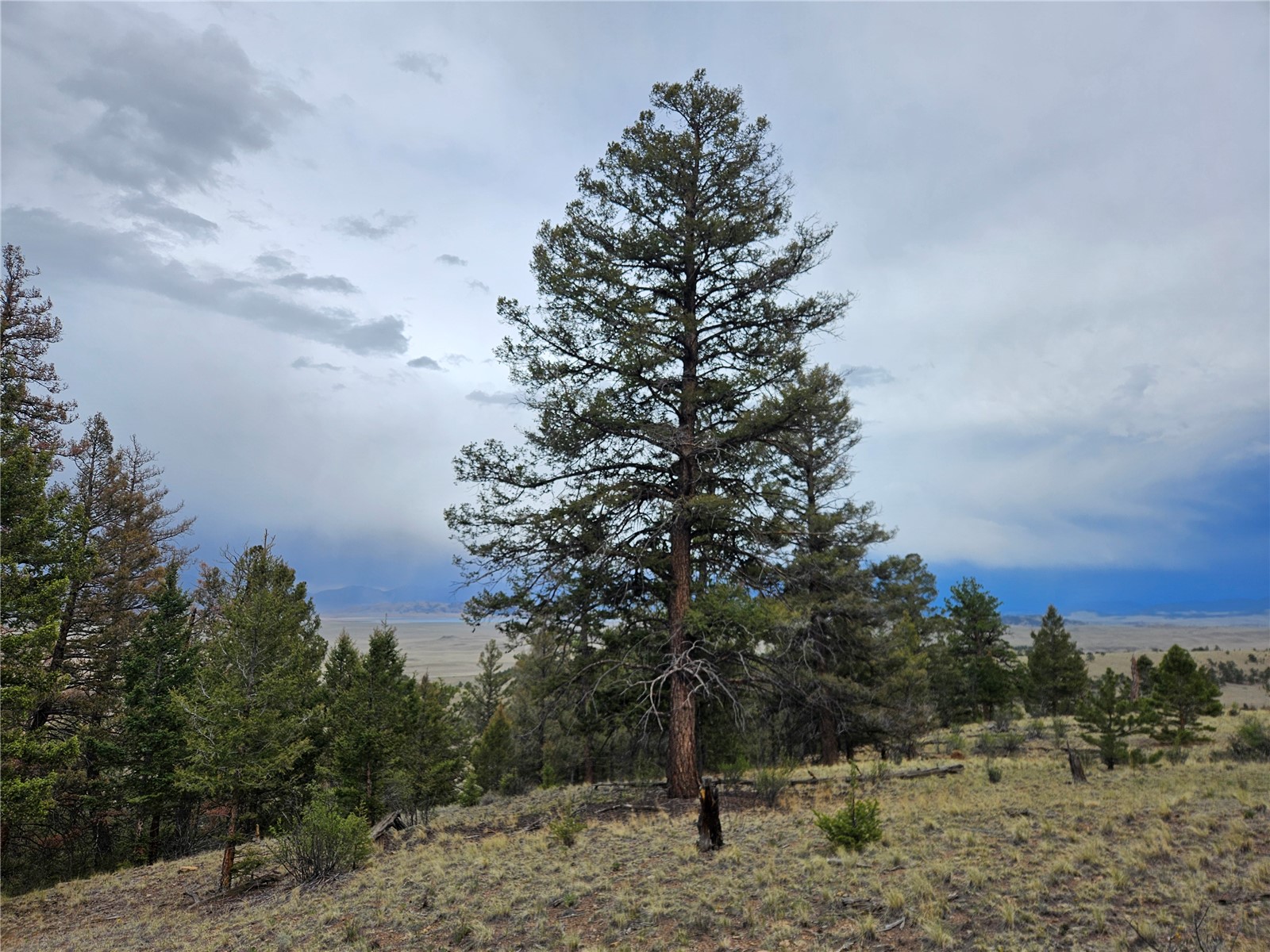 Pcs#24807 Satanta Trail Property Photo 35