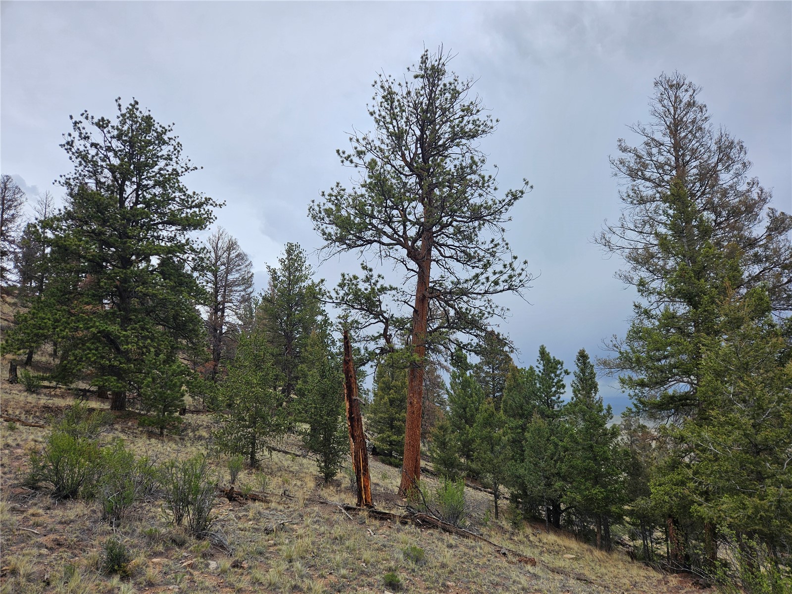 Pcs#24807 Satanta Trail Property Photo 36