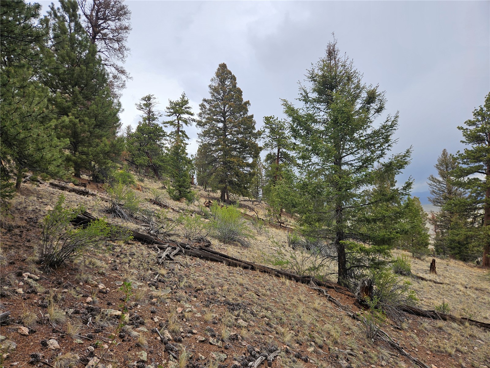 Pcs#24807 Satanta Trail Property Photo 37