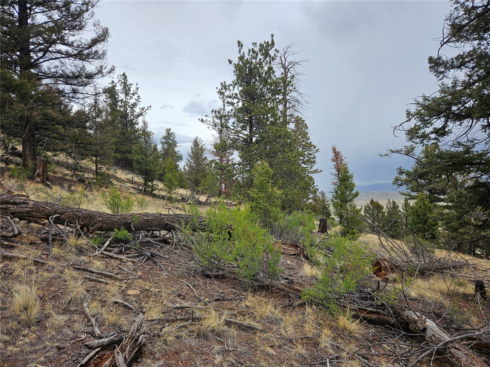 Pcs#24807 Satanta Trail Property Photo 38
