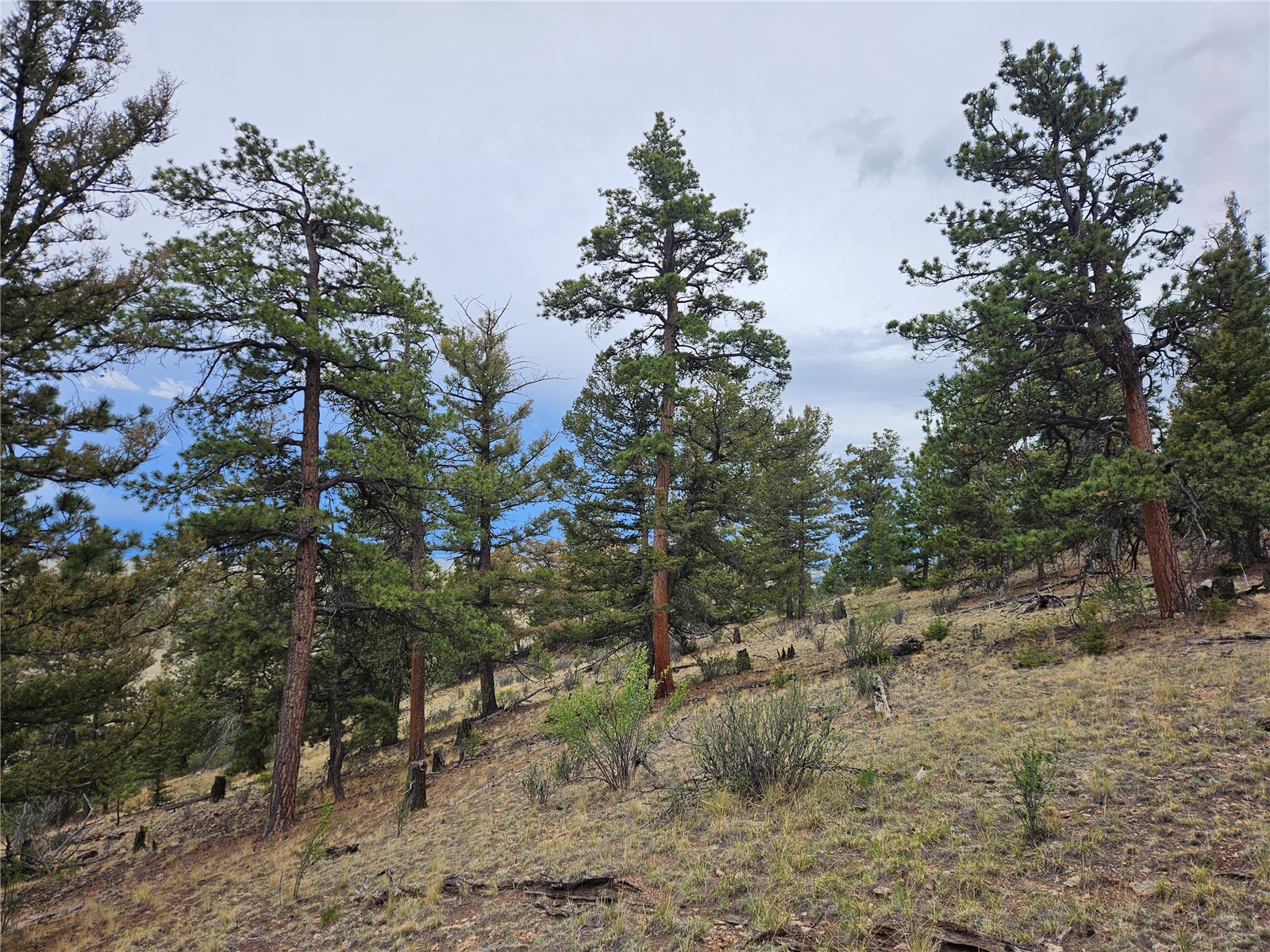 Pcs#24807 Satanta Trail Property Photo 39