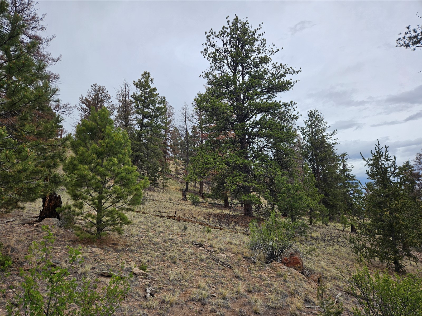 Pcs#24807 Satanta Trail Property Photo 40