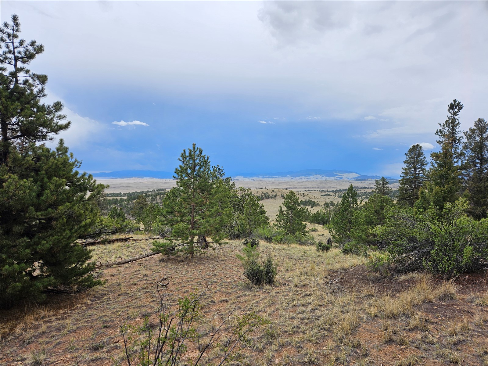 Pcs#24807 Satanta Trail Property Photo 41