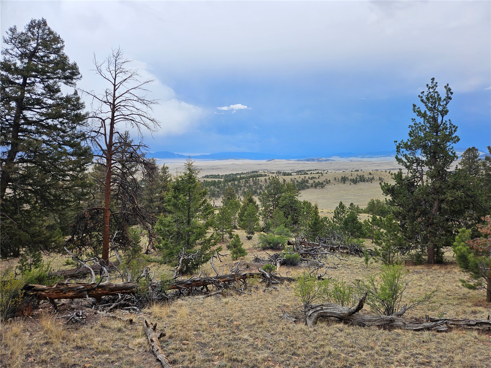 Pcs#24807 Satanta Trail Property Photo 42