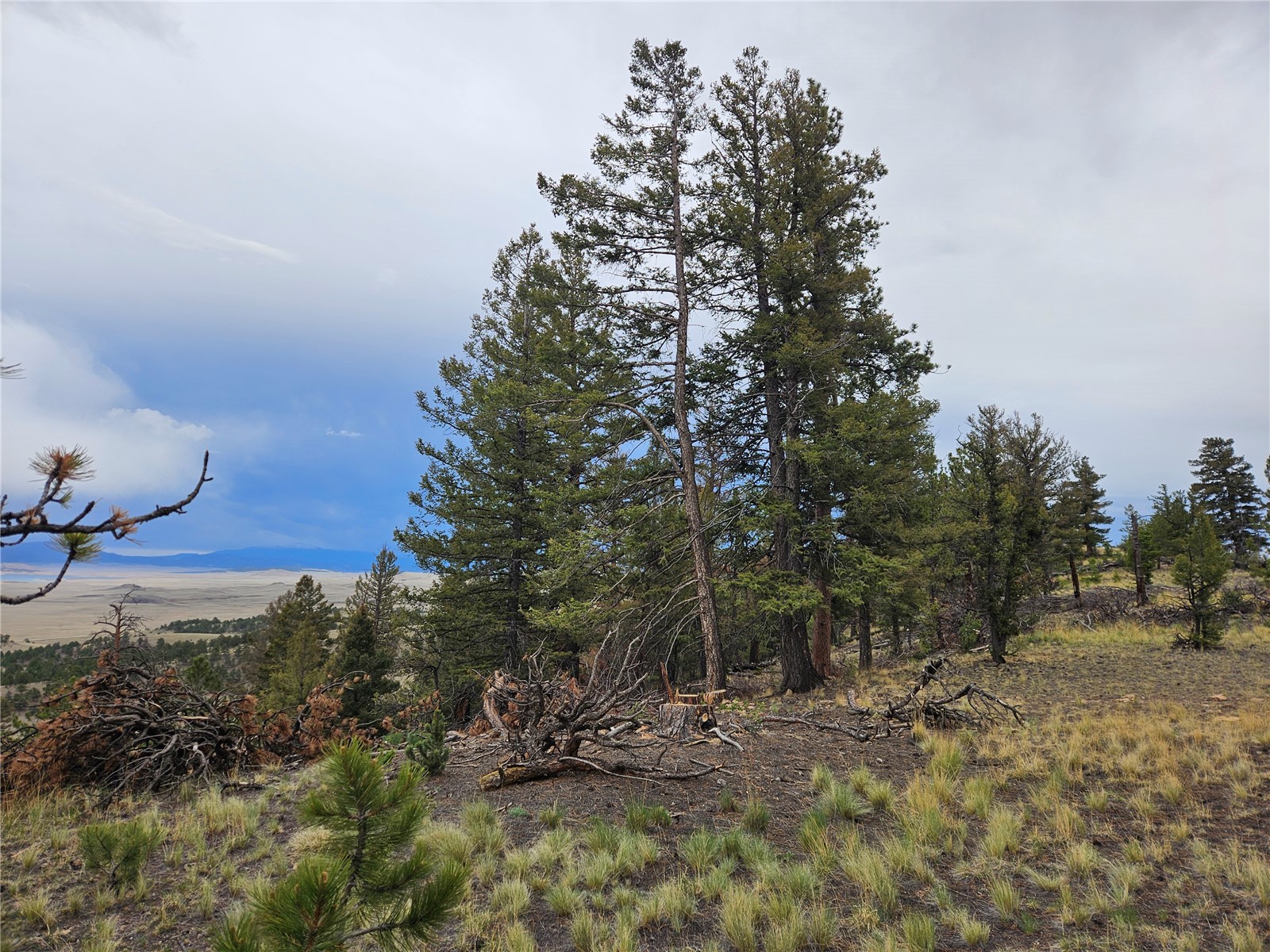 Pcs#24807 Satanta Trail Property Photo 43