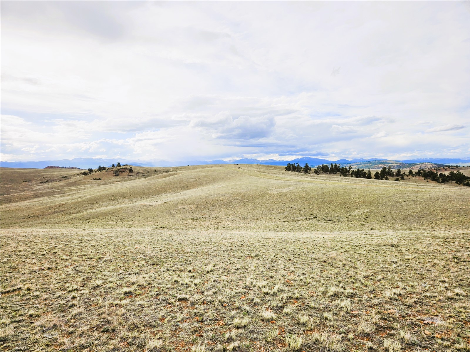 Pcs#24139 Antero Road Property Photo 12