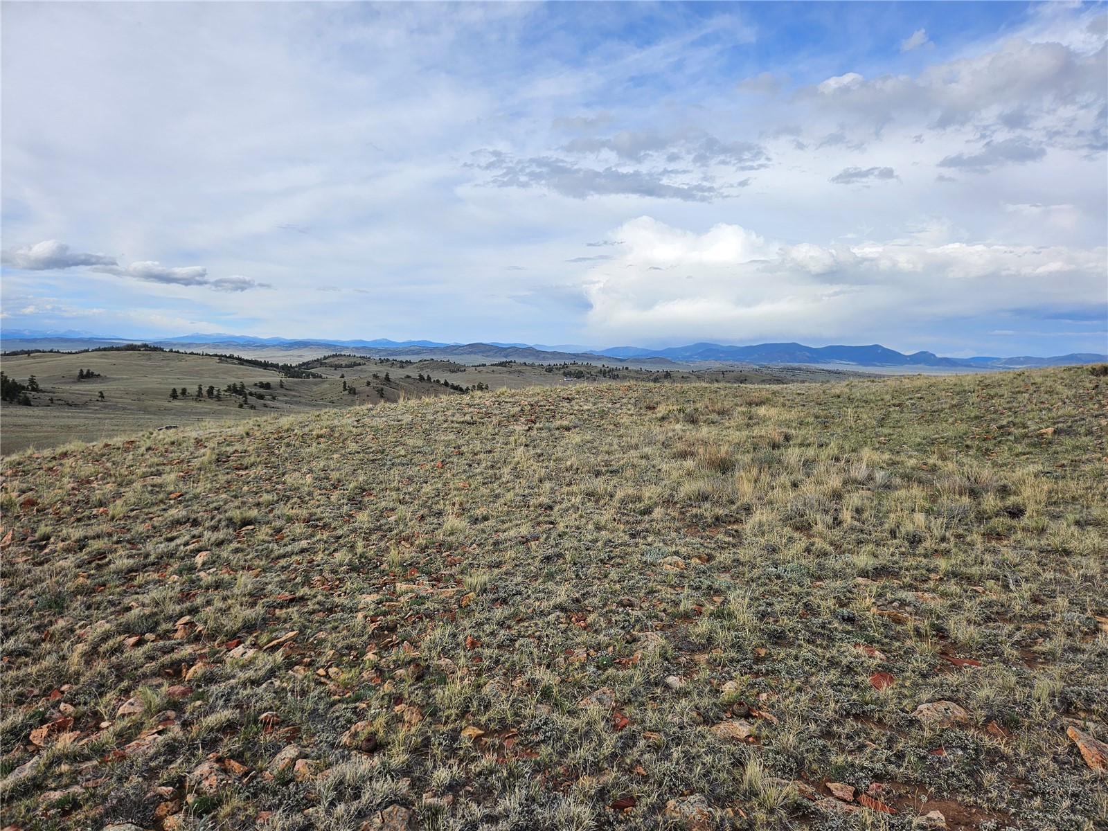 Pcs#24139 Antero Road Property Photo 21