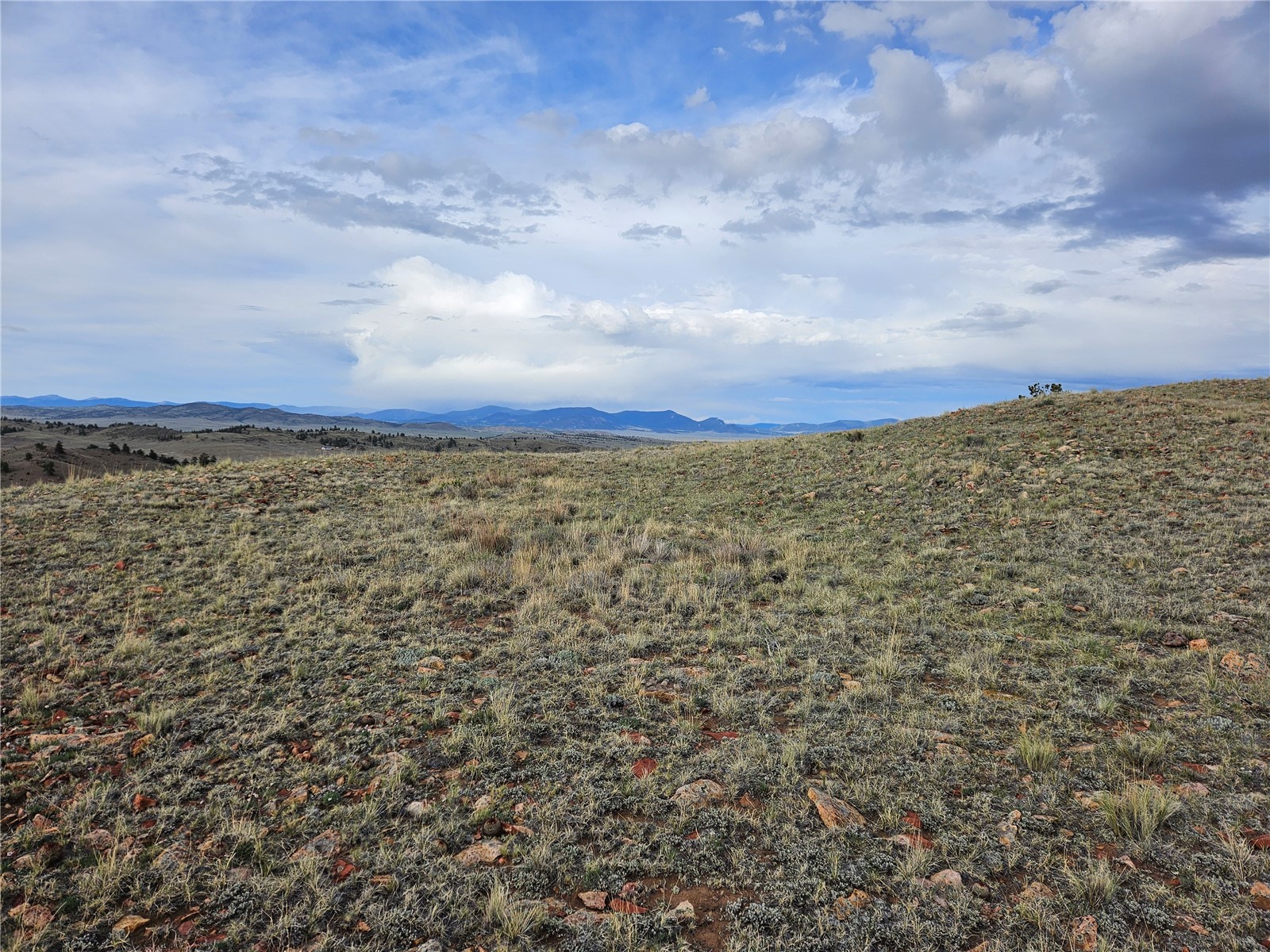 Pcs#24139 Antero Road Property Photo 22