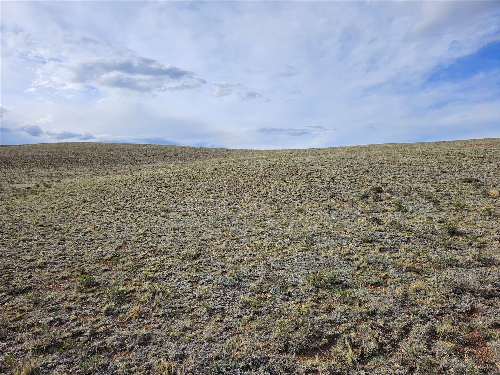Pcs#24139 Antero Road Property Photo 37