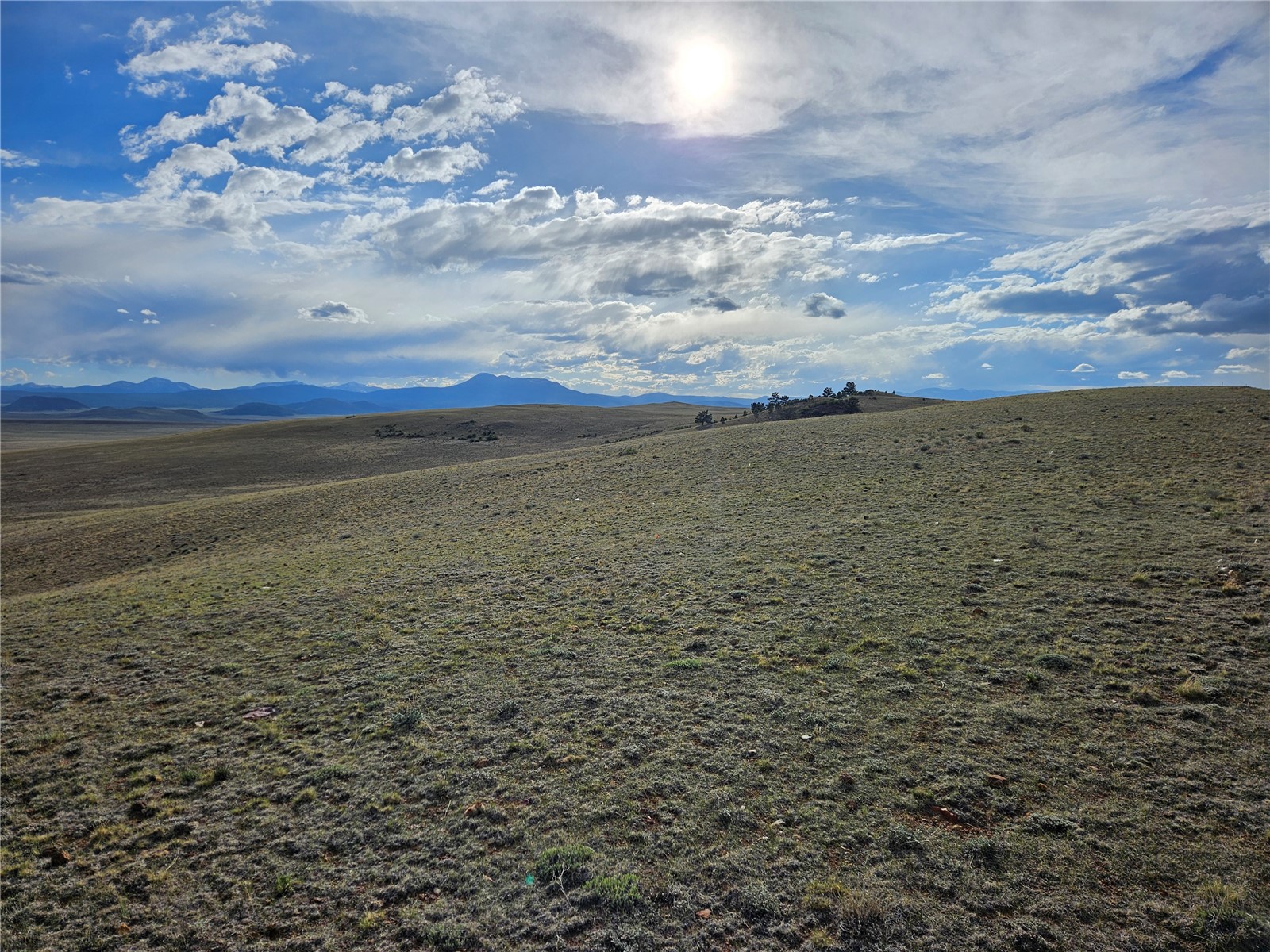 Pcs#24139 Antero Road Property Photo 41