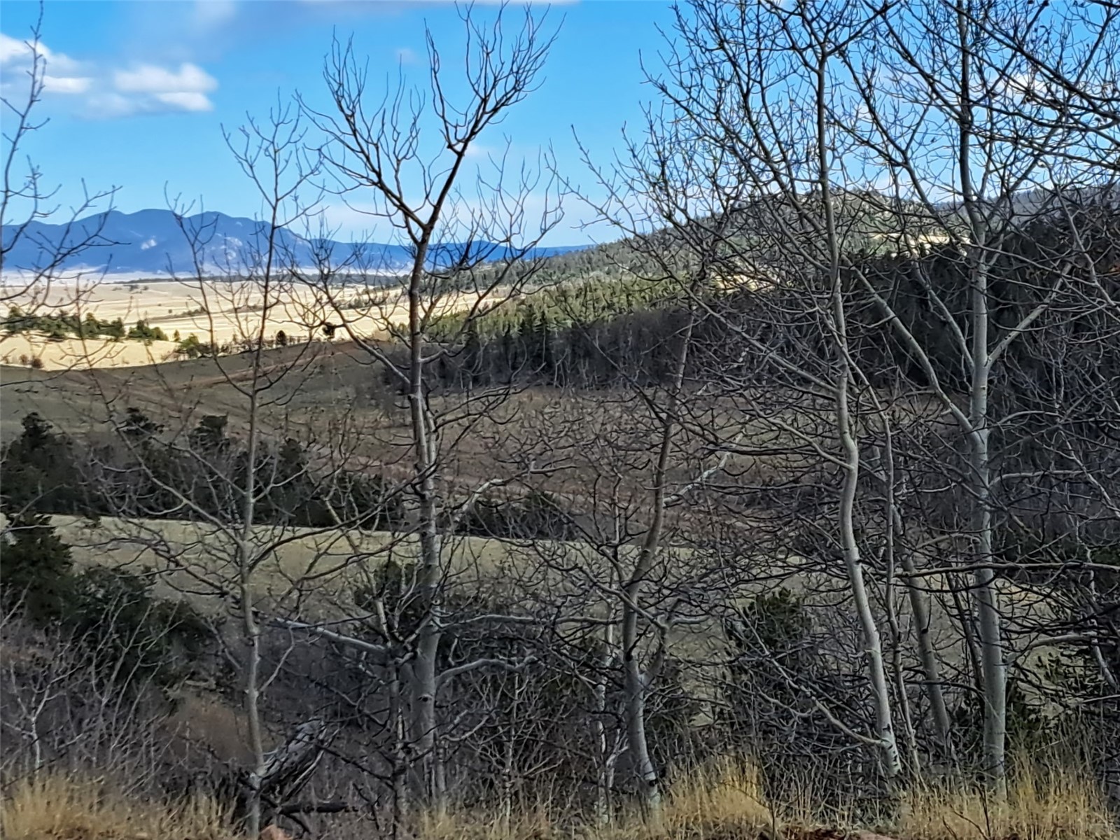 908 Raven Way Property Photo 4