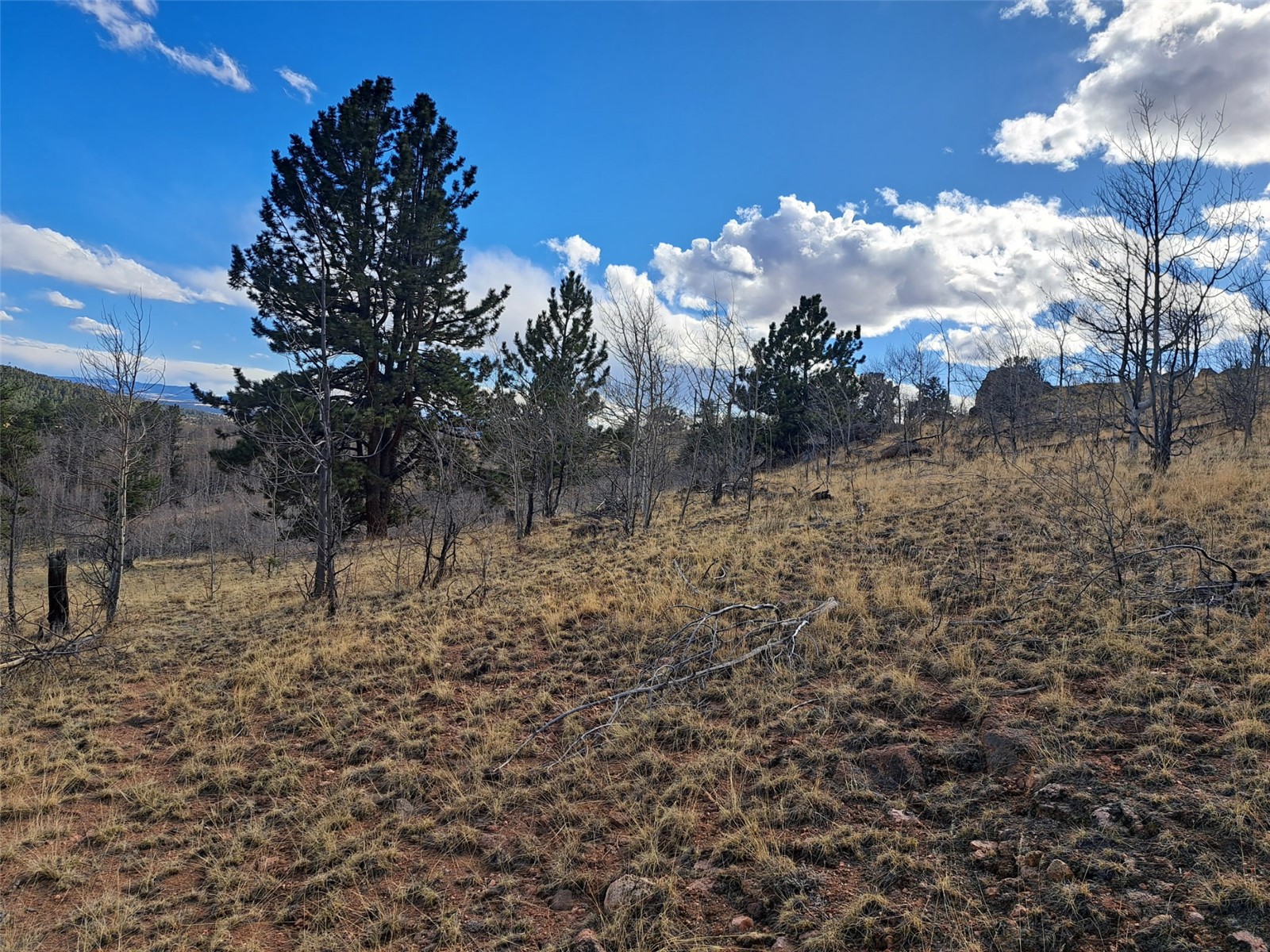 908 Raven Way Property Photo 8
