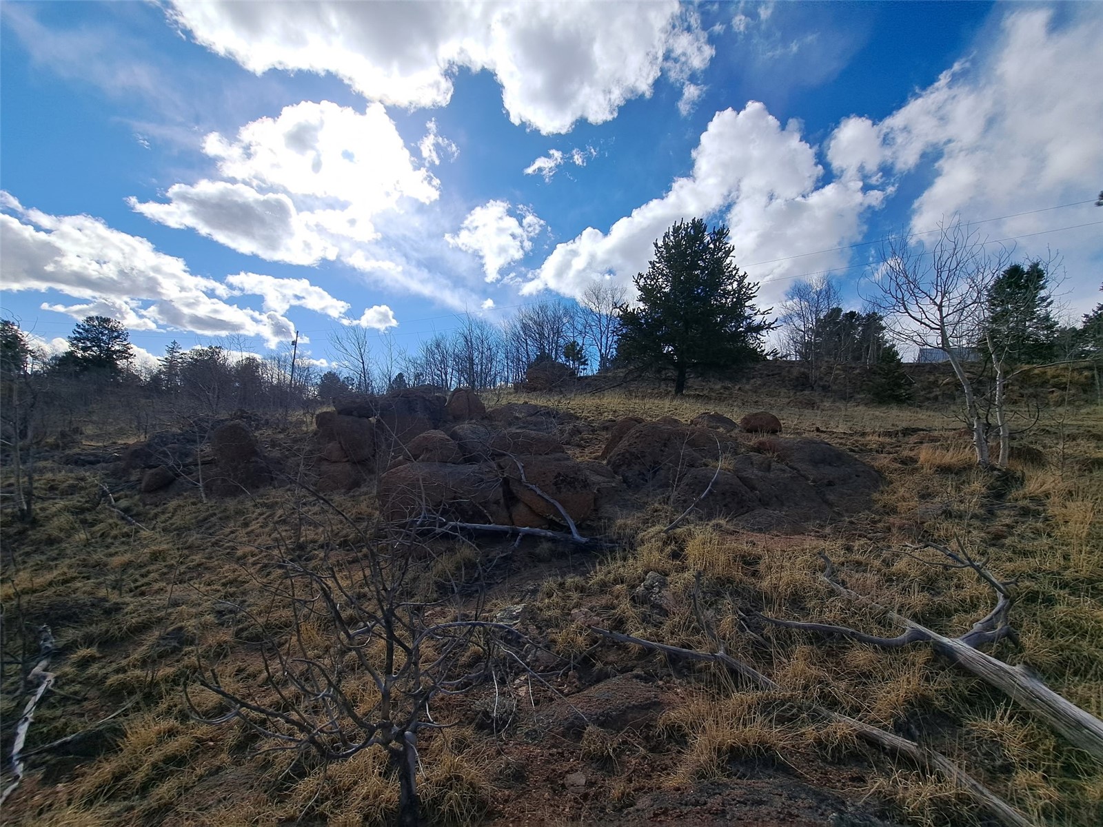 908 Raven Way Property Photo 27