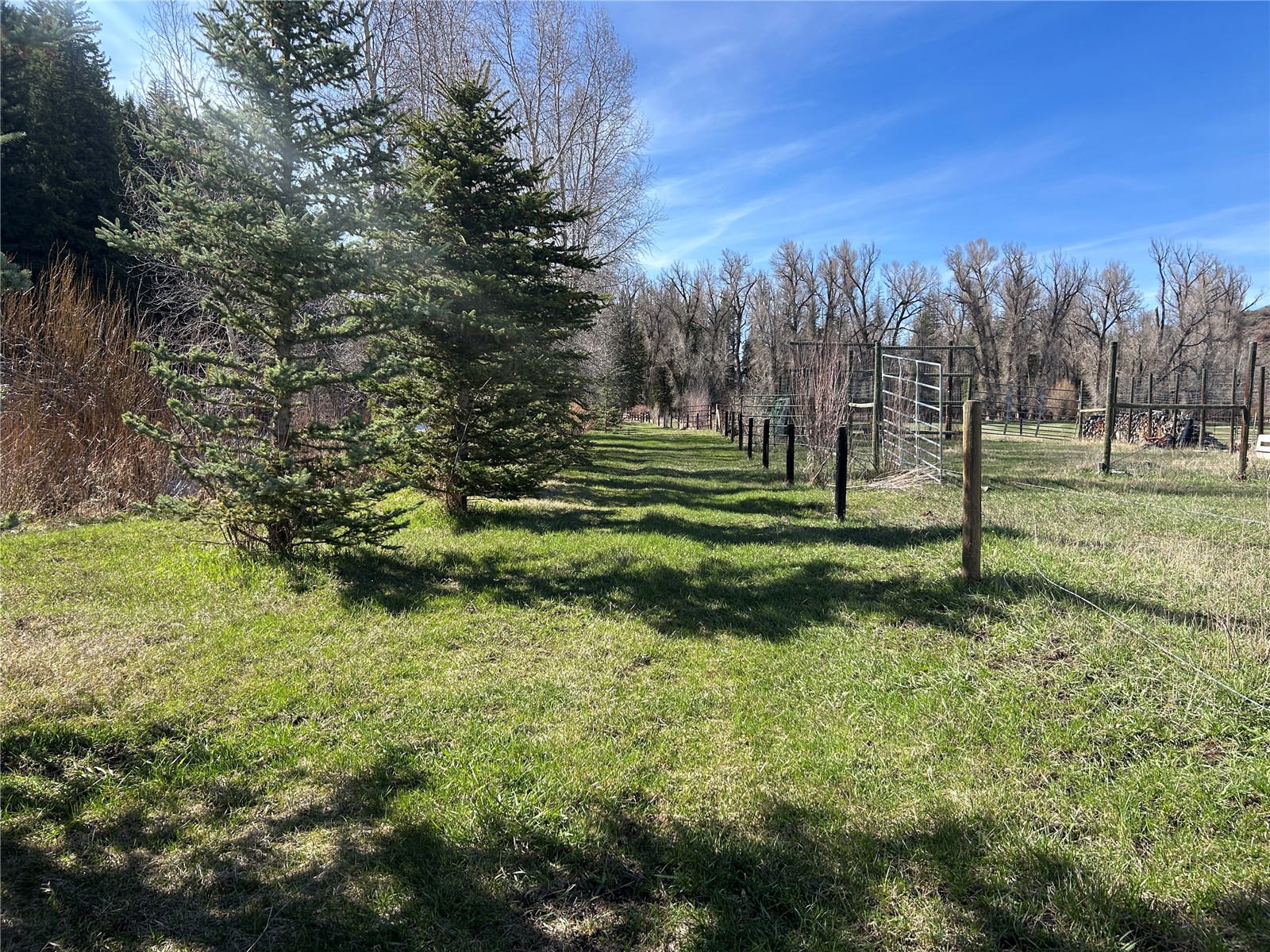 45995 County Road 129 Property Photo 16