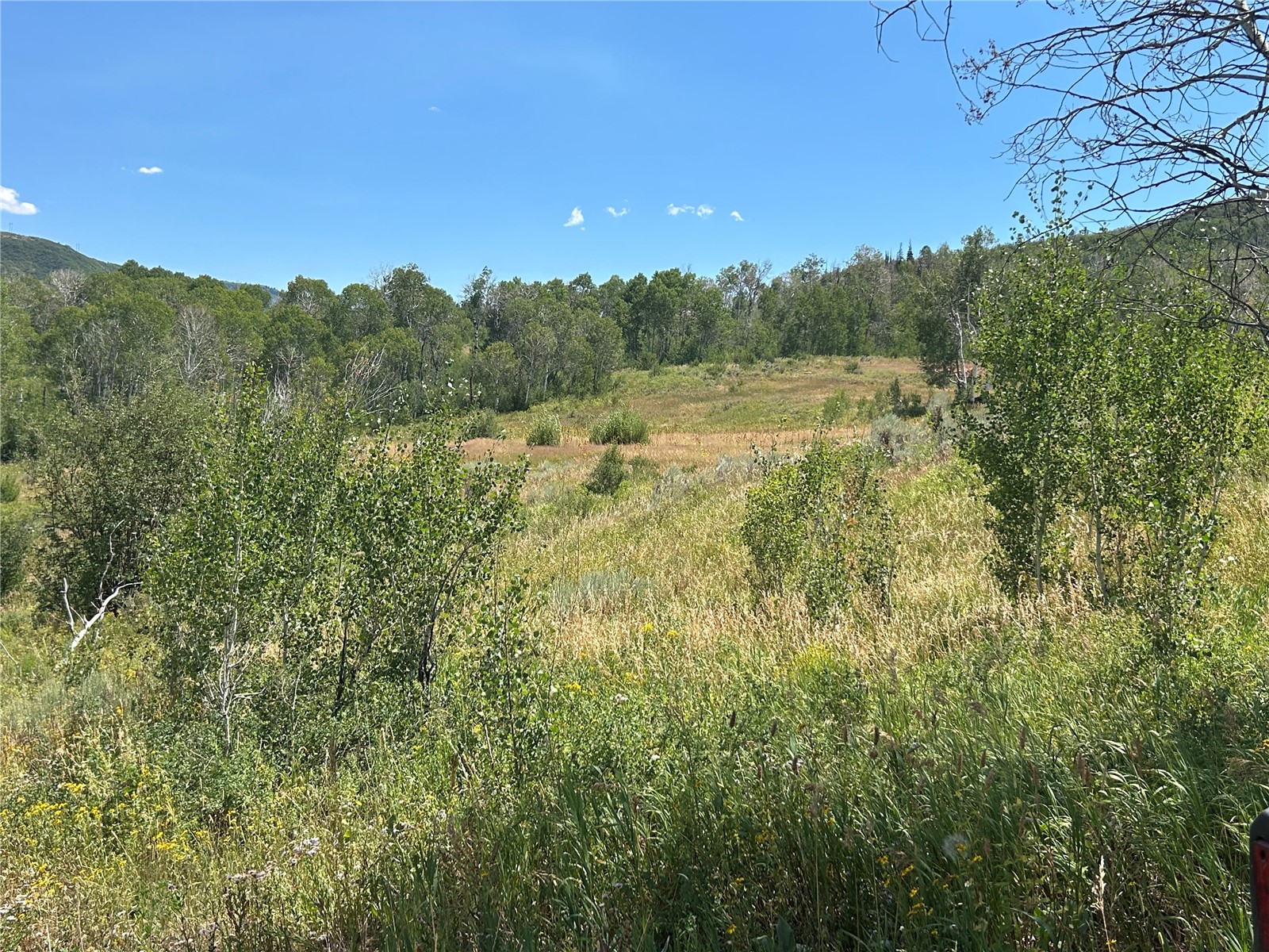 45995 County Road 129 Property Photo 43