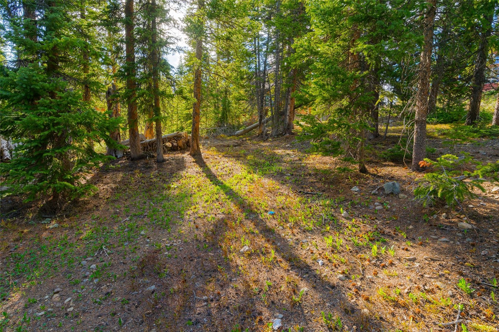 233 Camron Lane Property Photo 14