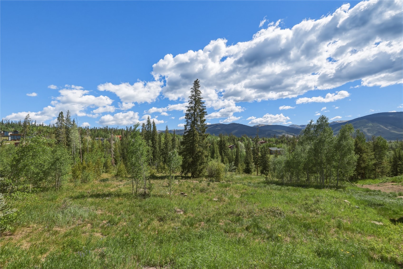 6726 Ryan Gulch Road 6726 Property Photo 22