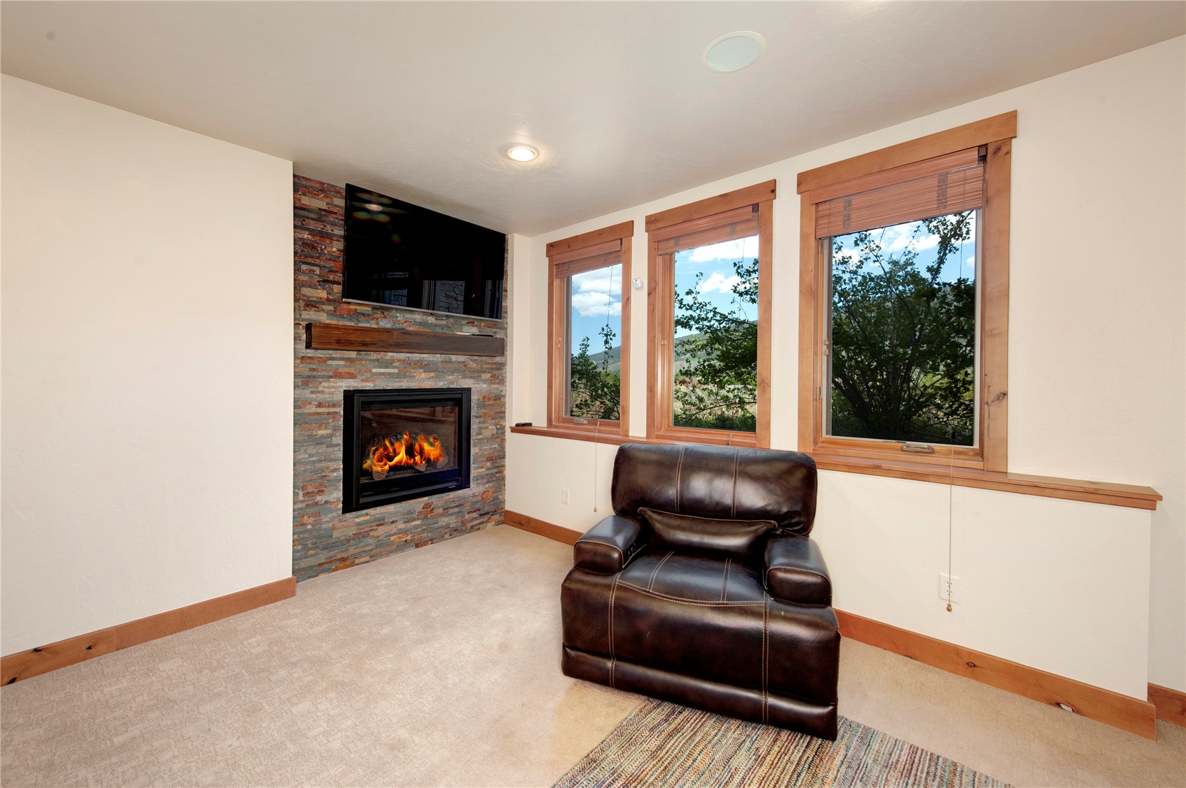 34 Snow Peak Court Property Photo 39