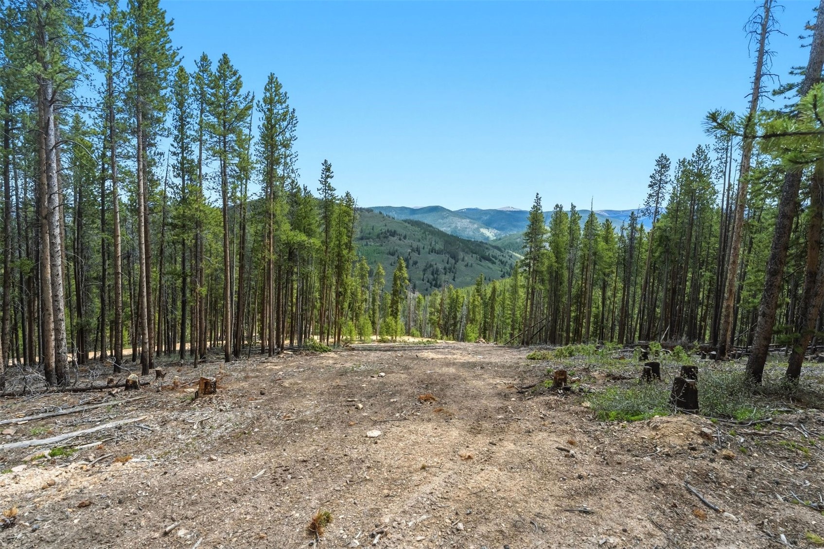 653 Summit Gulch Road Property Photo 7