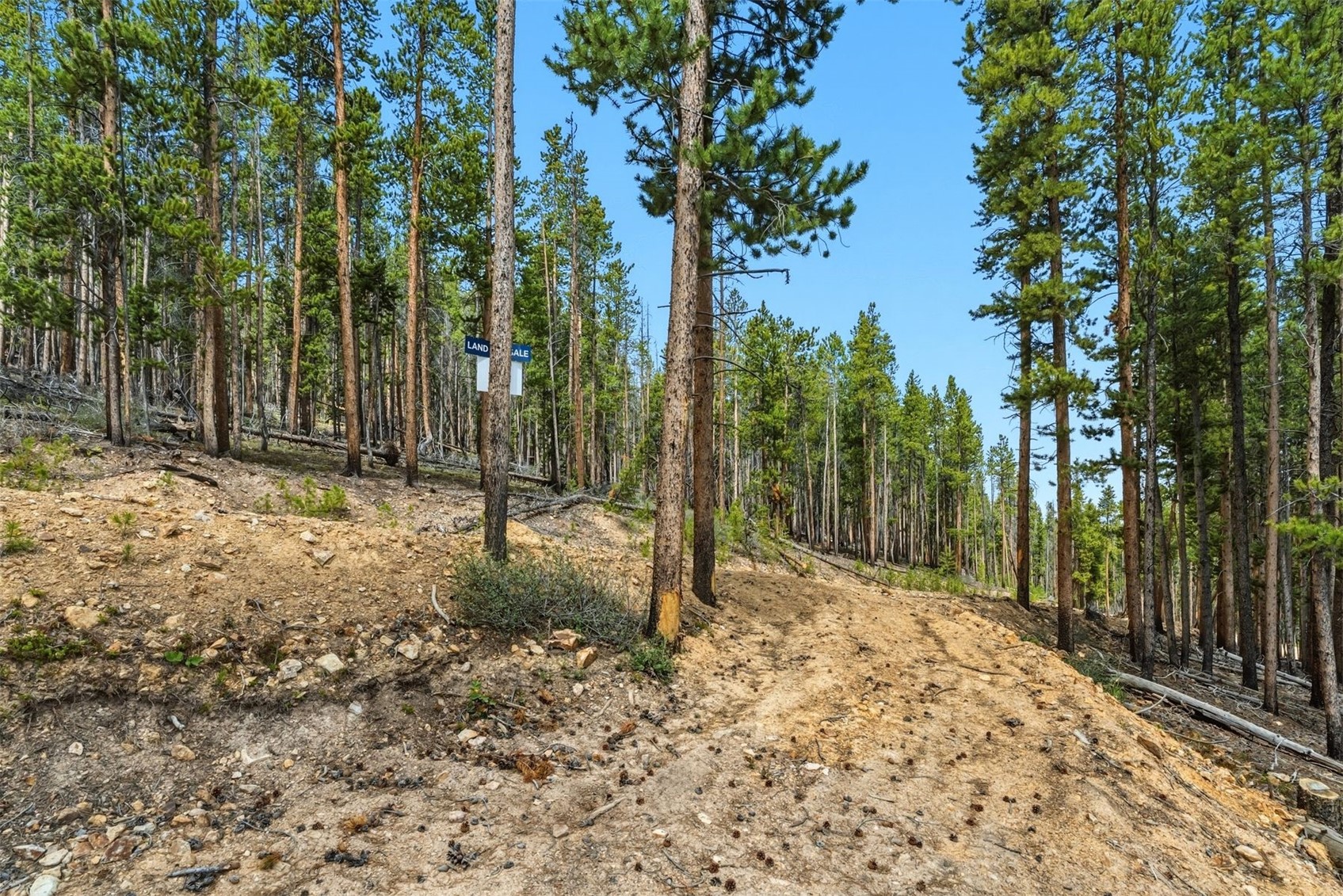 653 Summit Gulch Road Property Photo 9