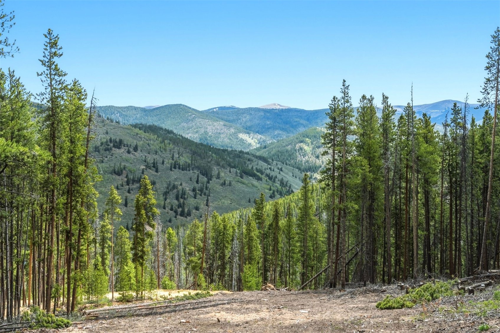653 Summit Gulch Road Property Photo 12