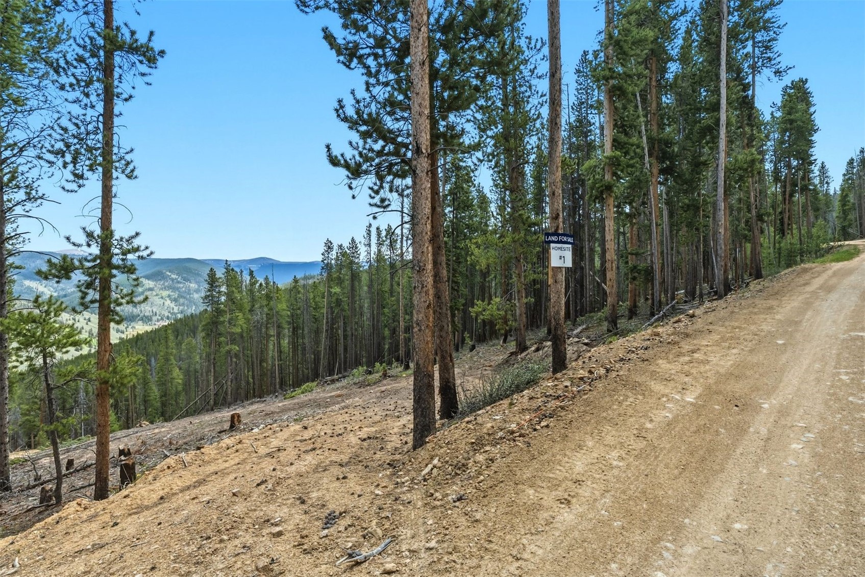 653 Summit Gulch Road Property Photo 13