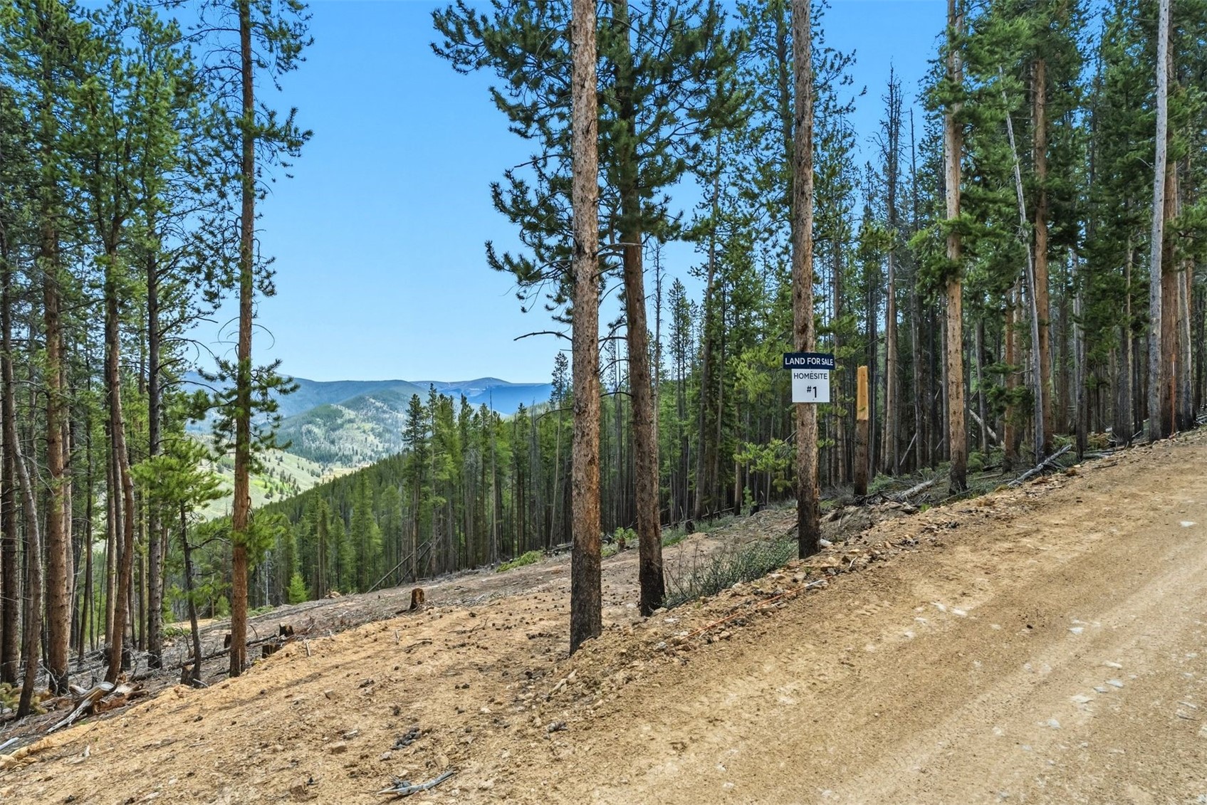 653 Summit Gulch Road Property Photo 14