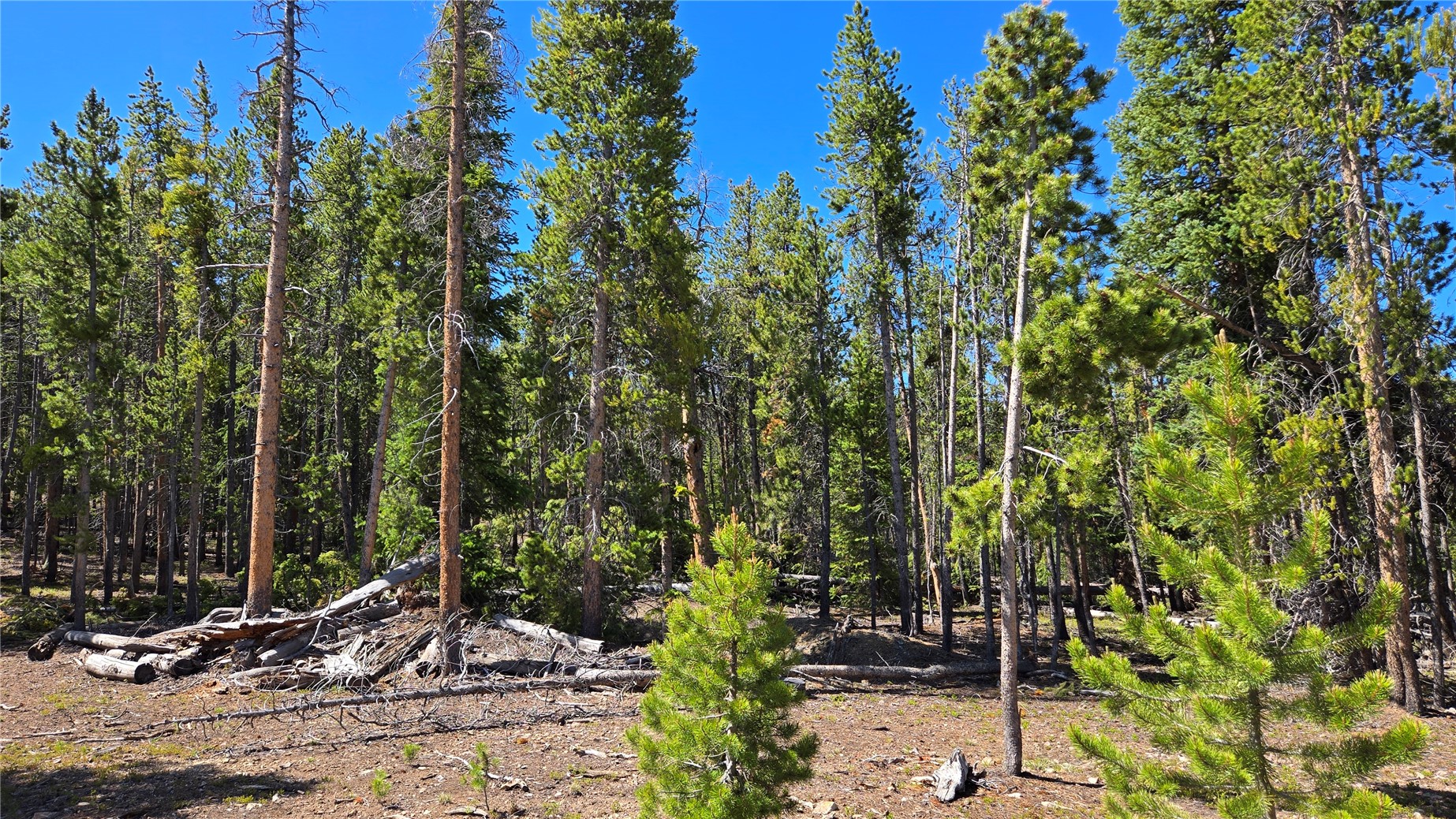 Tbd Summit Gulch Road Property Photo 15
