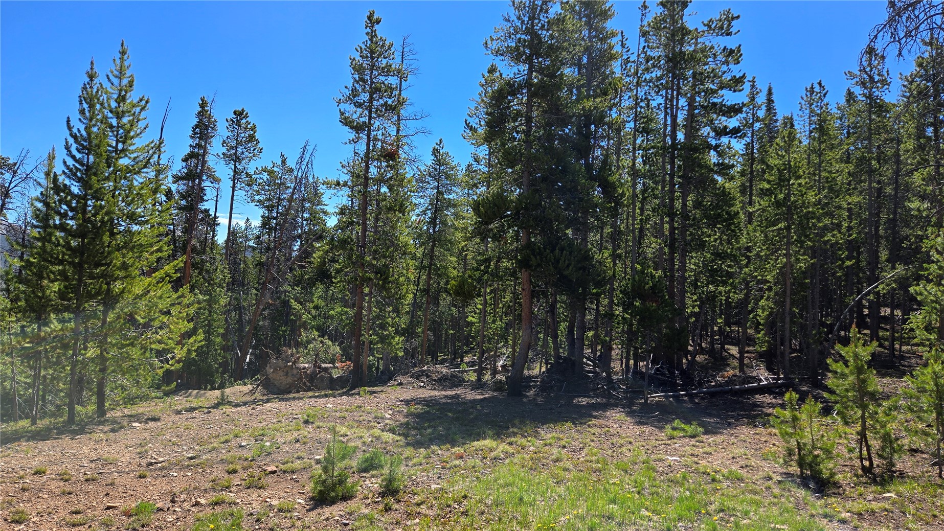 Tbd Summit Gulch Road Property Photo 16