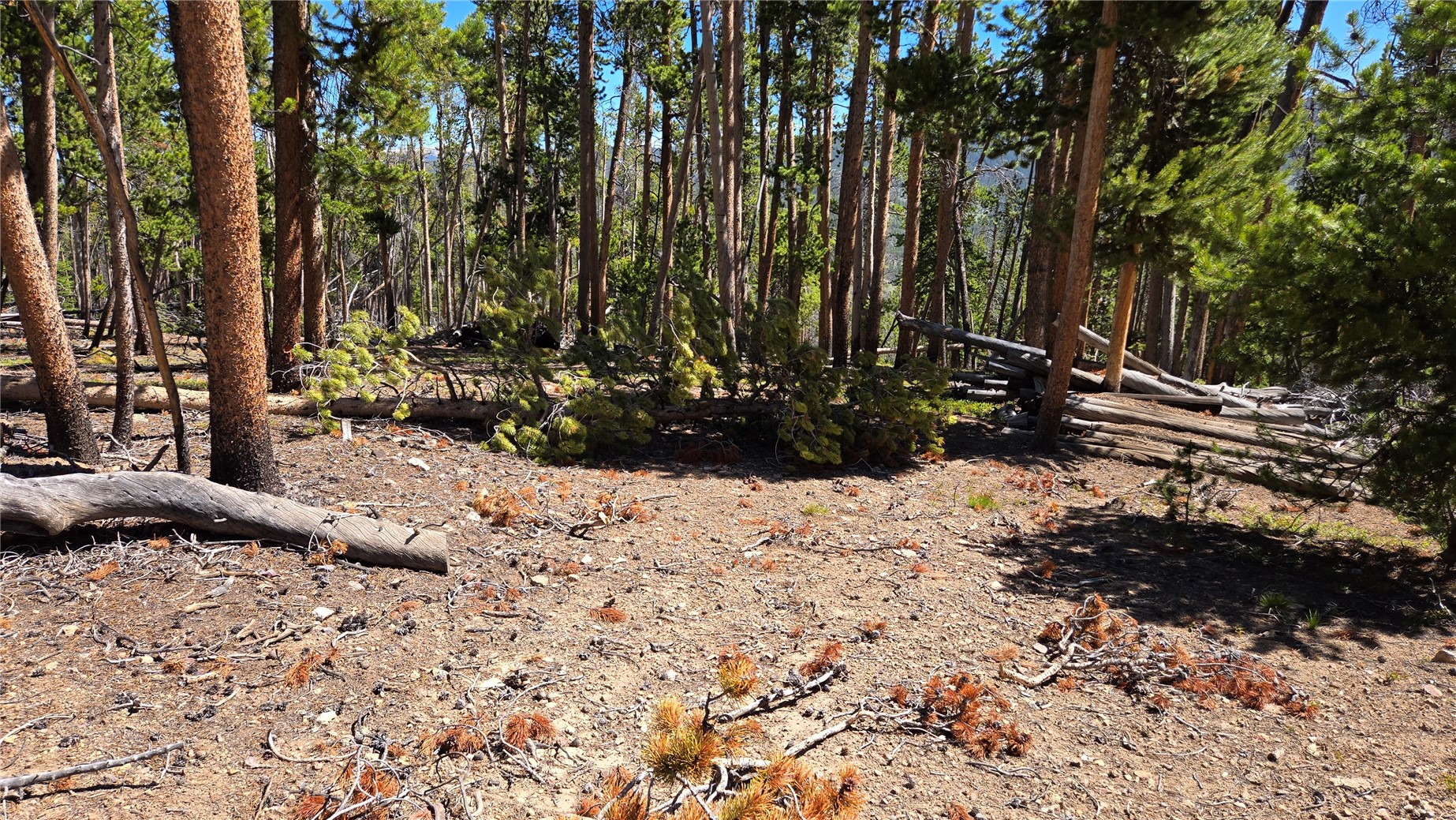 Tbd Summit Gulch Road Property Photo 30