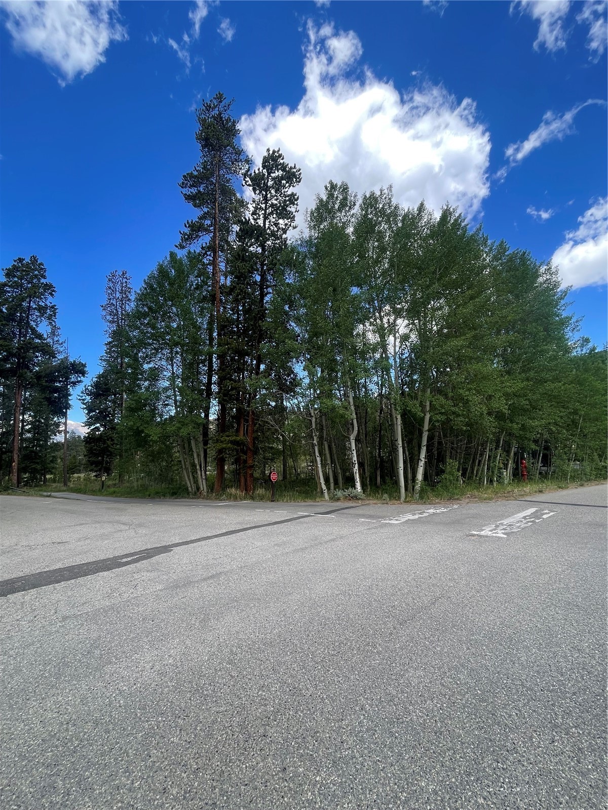 96 Elk Crossing Lane Property Photo