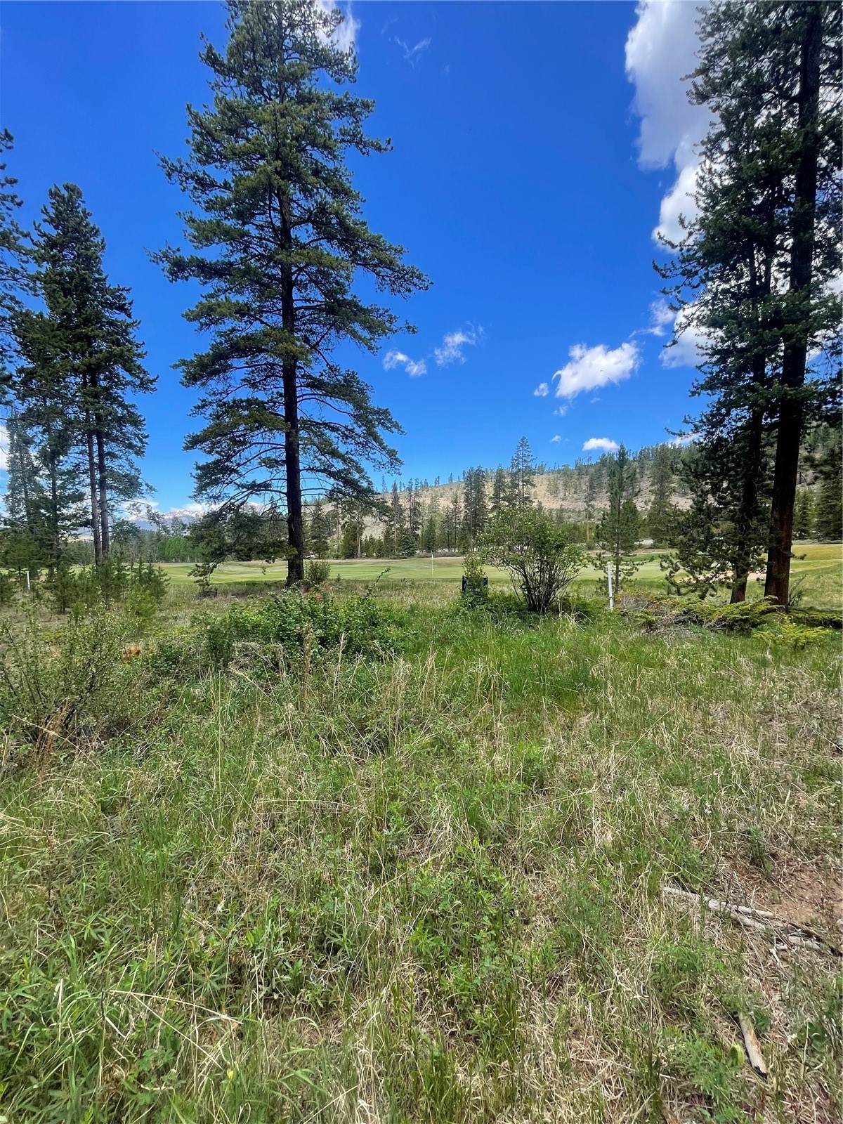 96 Elk Crossing Lane Property Photo 2