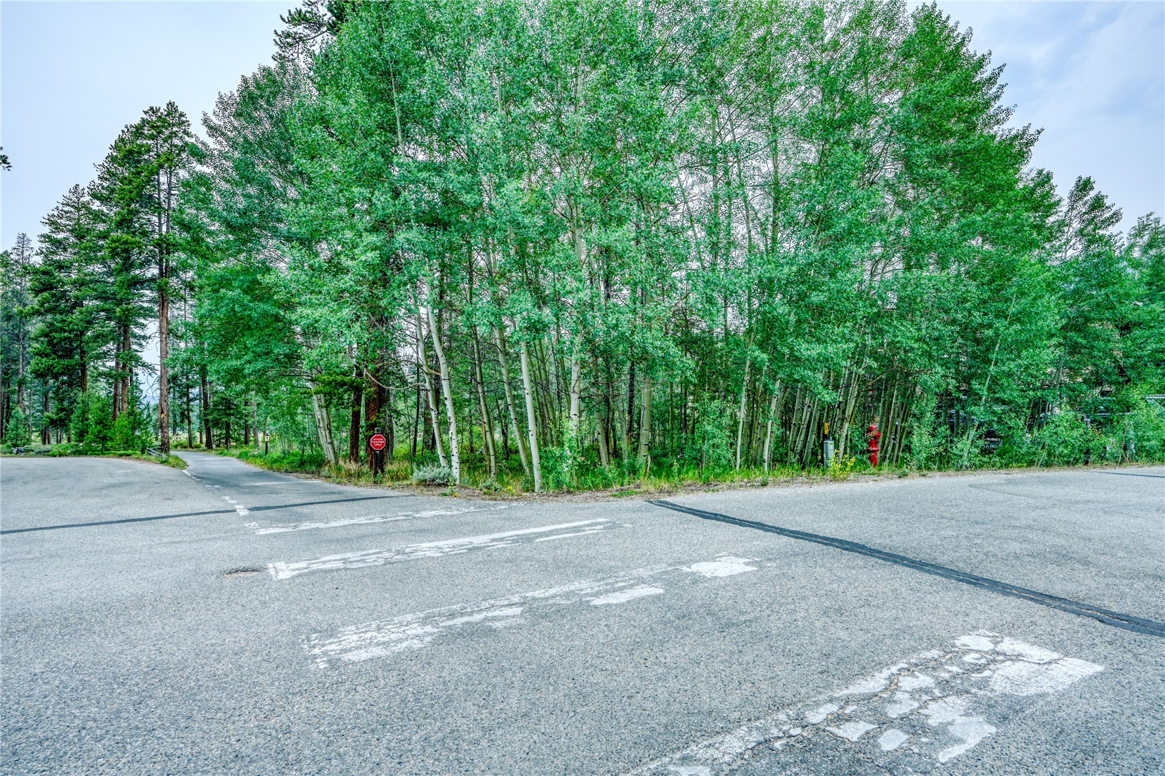 96 Elk Crossing Lane Property Photo 8