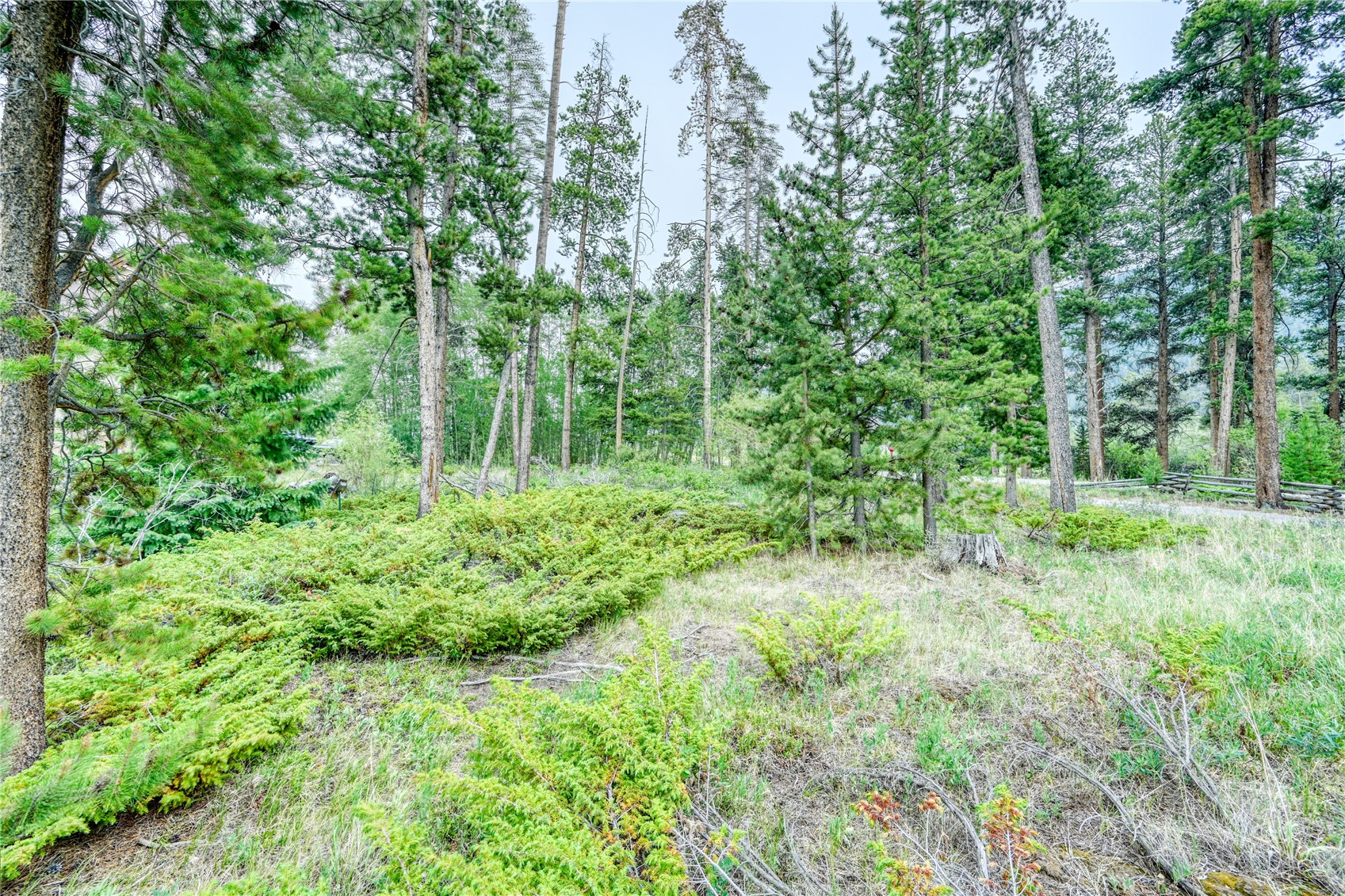 96 Elk Crossing Lane Property Photo 10