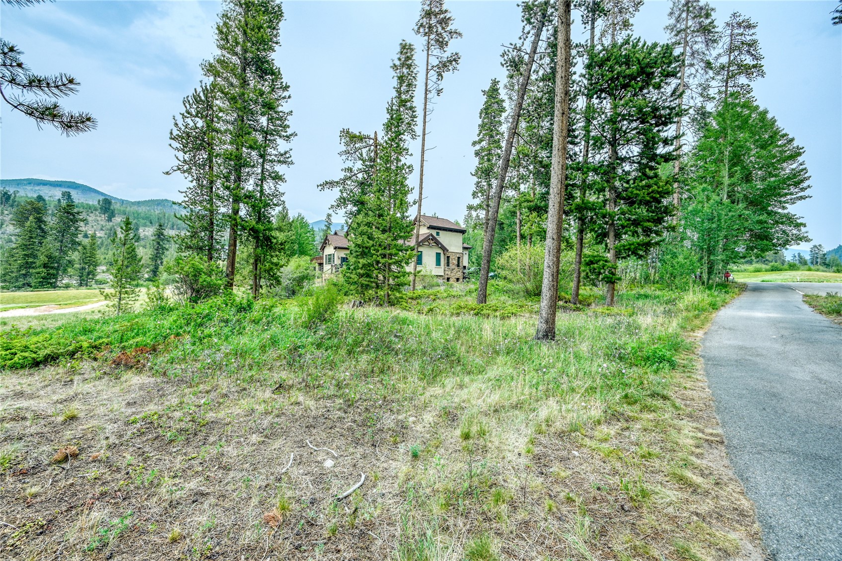 96 Elk Crossing Lane Property Photo 12