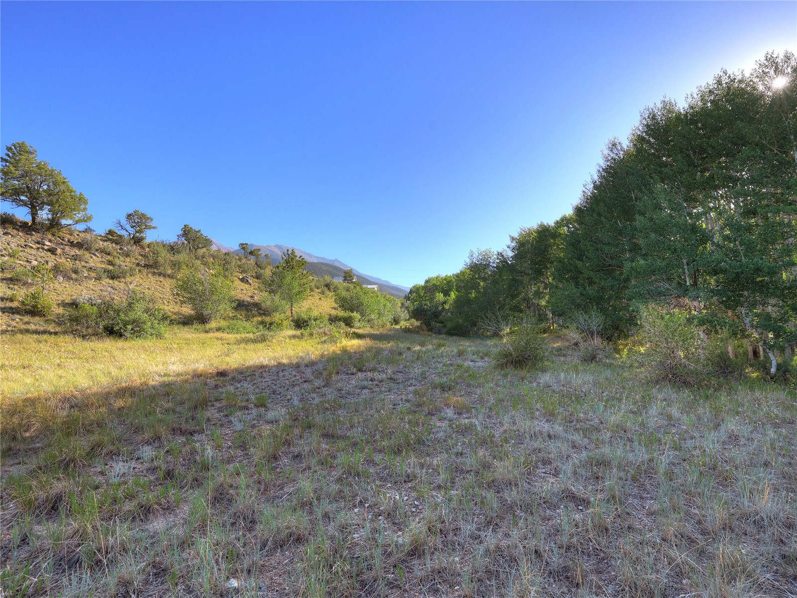 17550 Primrose Lane Property Photo 16