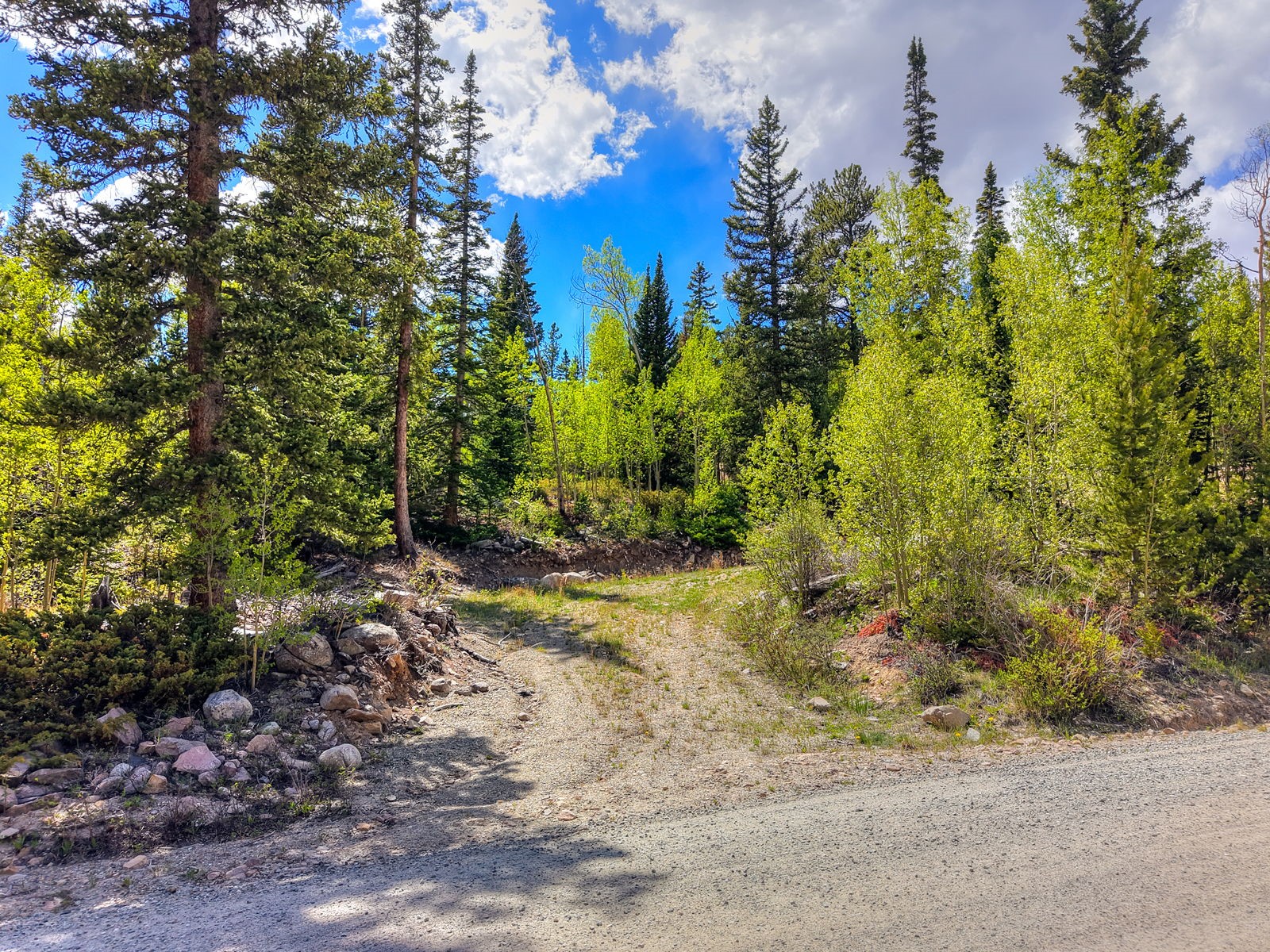253 Mine Dump Road Property Photo 1
