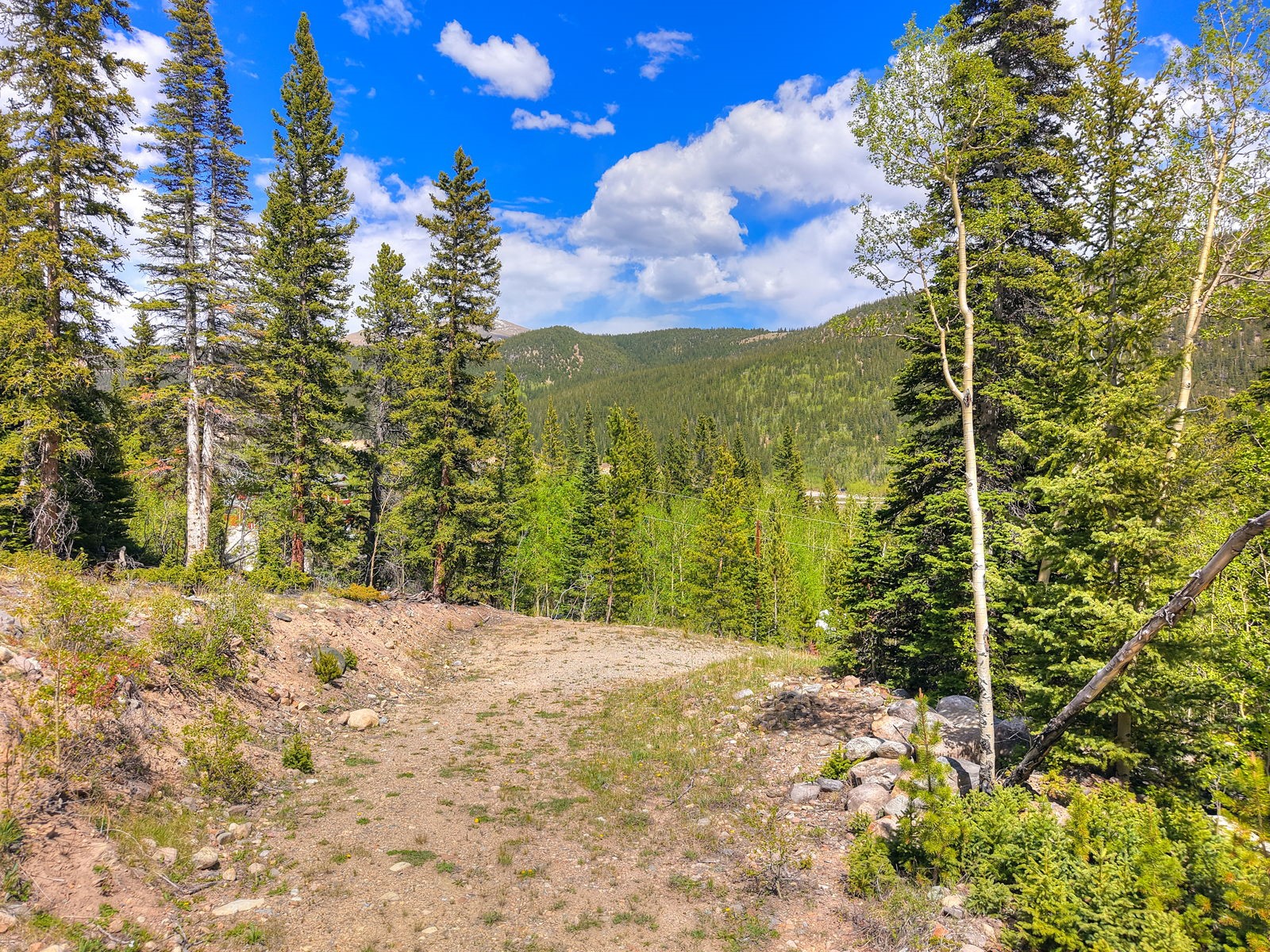 253 Mine Dump Road Property Photo 2
