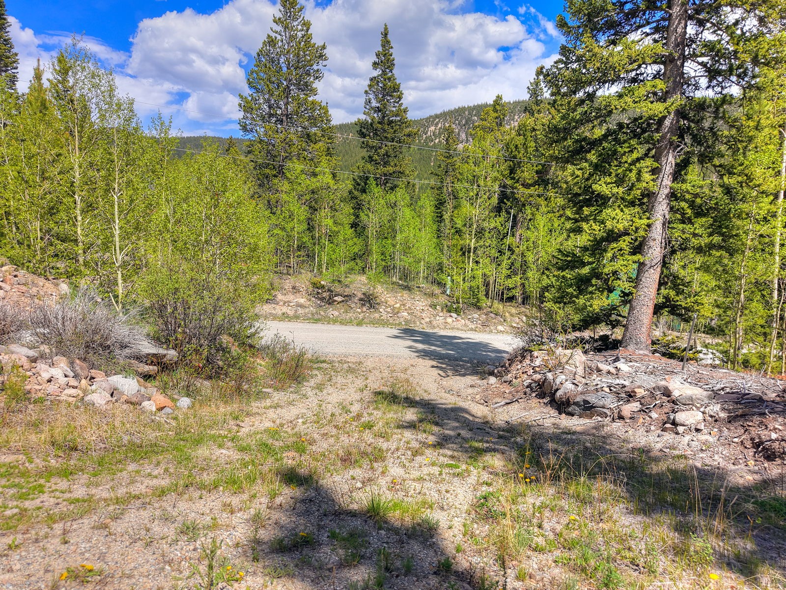 253 Mine Dump Road Property Photo 10