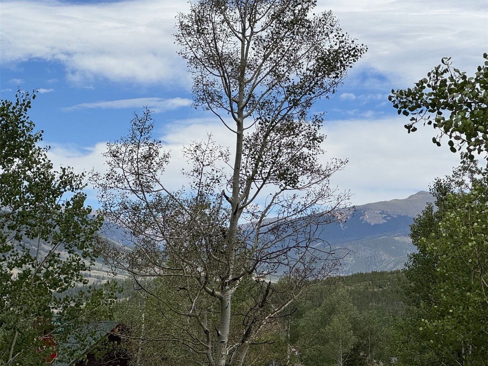 8010 Ryan Gulch Road B1 Property Photo 10
