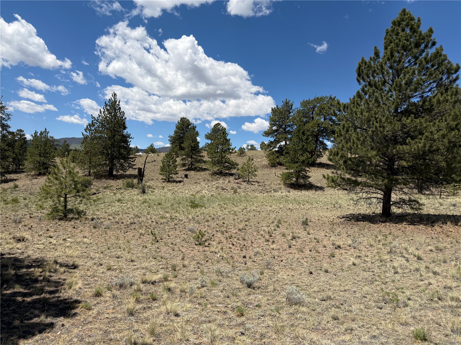 595 Bridle Path Property Photo 1