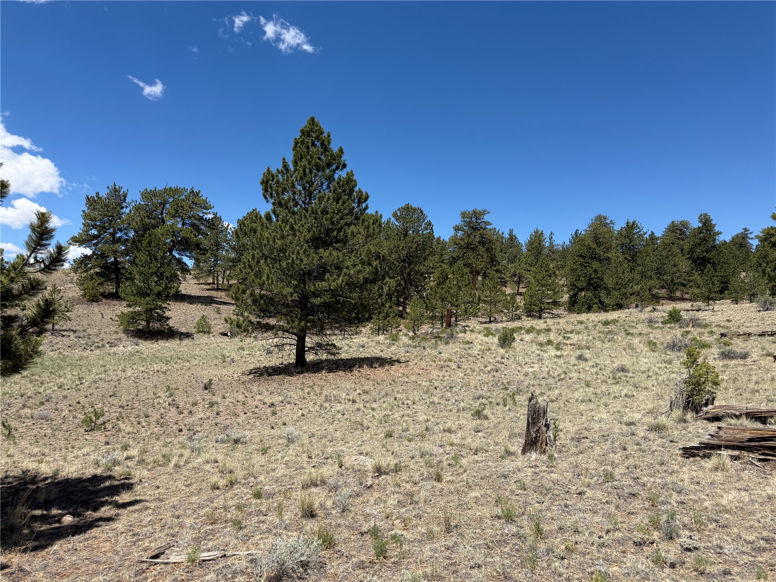 595 Bridle Path Property Photo 3
