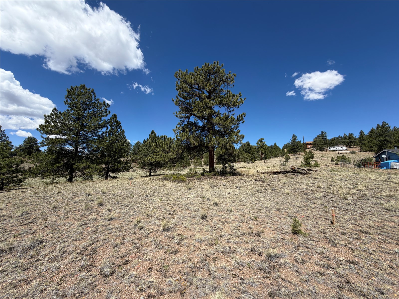 595 Bridle Path Property Photo 6