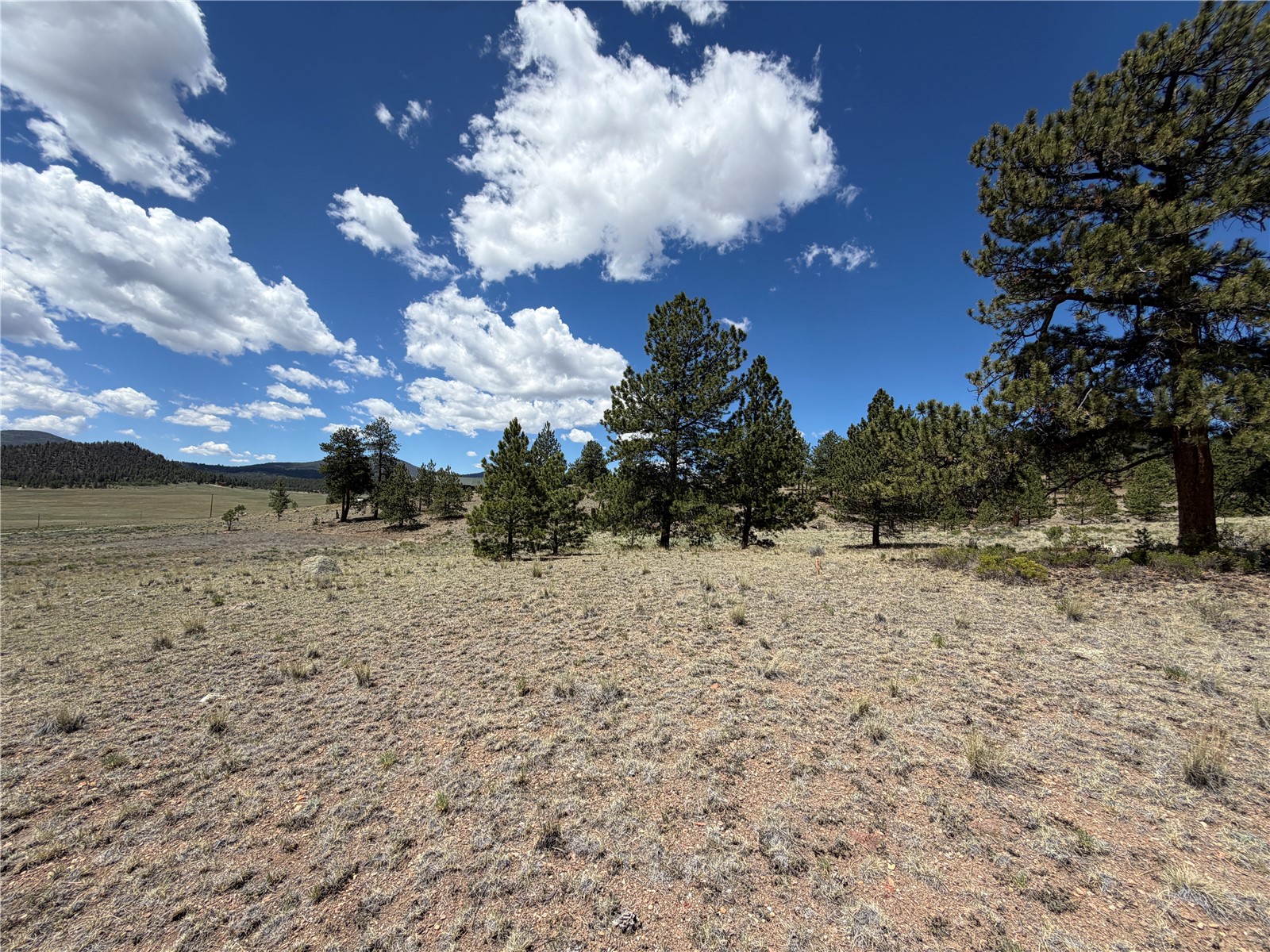 595 Bridle Path Property Photo 7