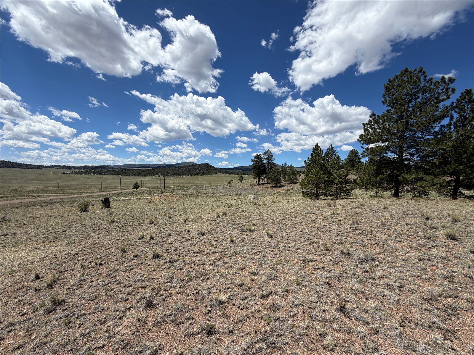 595 Bridle Path Property Photo 8