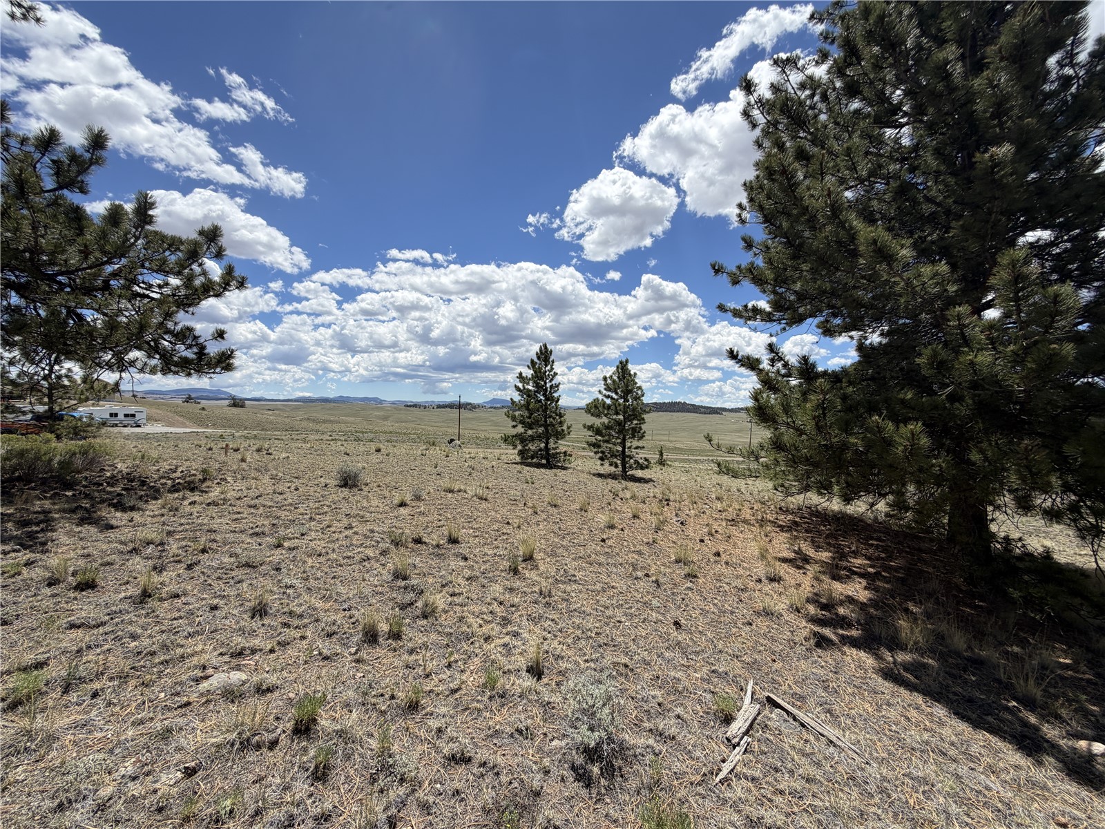 595 Bridle Path Property Photo 9