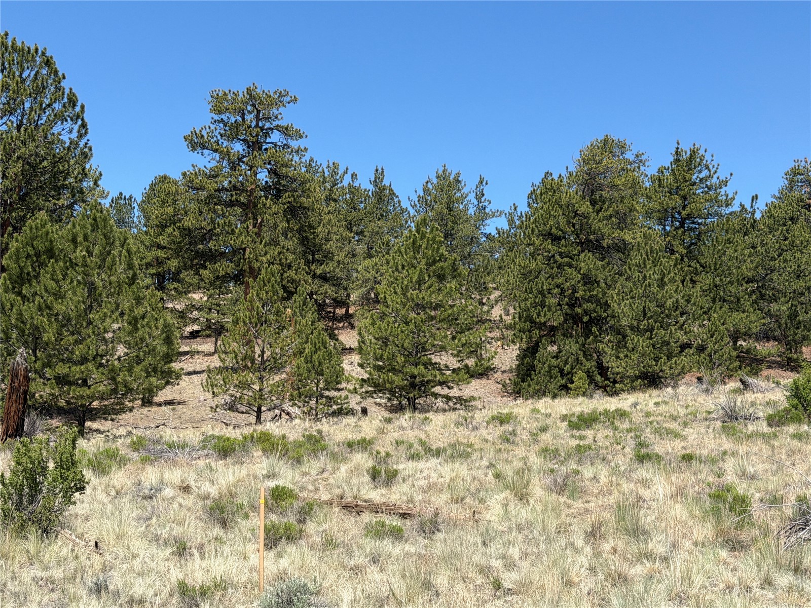595 Bridle Path Property Photo 10